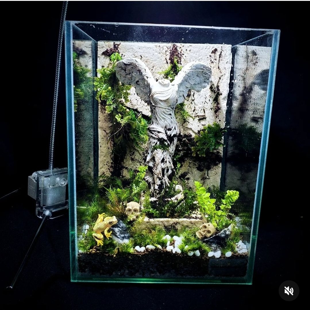 苔流(たいりゅう) 苔テラリウム作品『無限（White）』◇限定作品 12.20#4 | 苔テラリウム