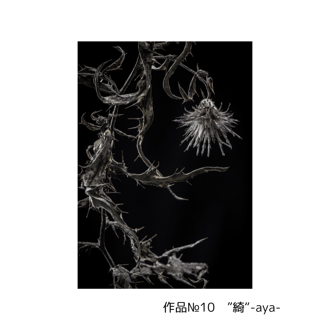 画像　野薊