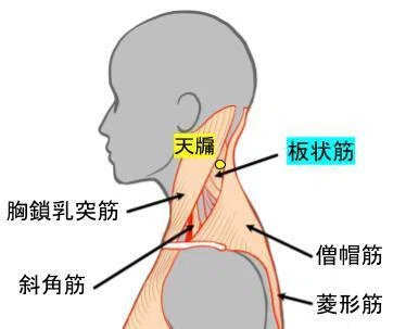 「ダスカロスの教え」と「東洋医学」を融合させる試み(13)|Noelの備忘録