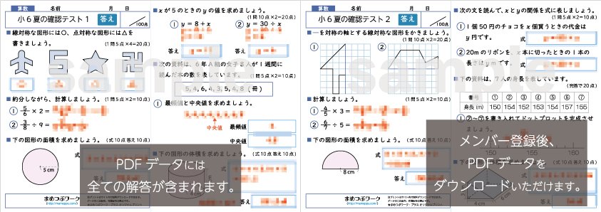 奨学社　小1 夏期講習　授業テキスト　先渡しプリント　確認テスト　算数国語 1枚で総復習！小1・算数【夏の確認テスト】(全2枚) | まめつぶワーク