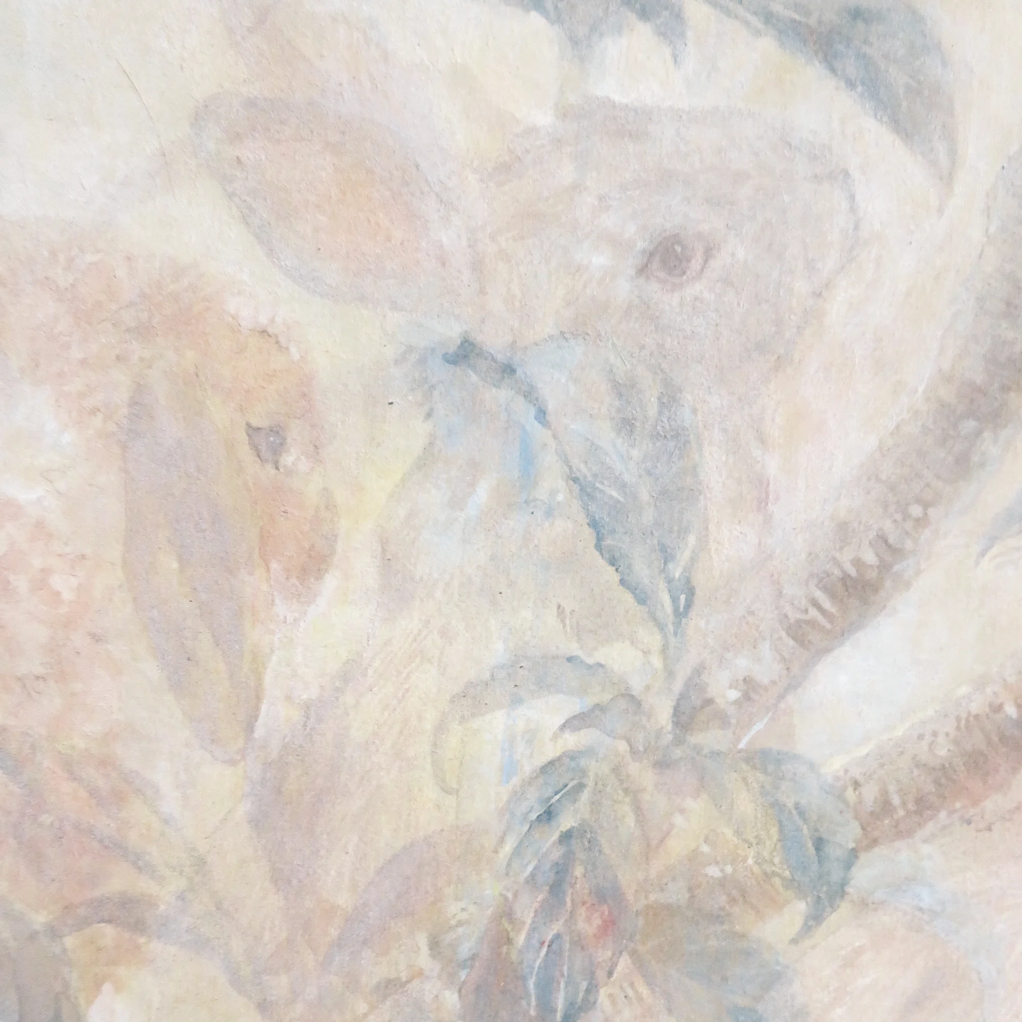骨 絵画 恐竜の骨 ティラノサウルス