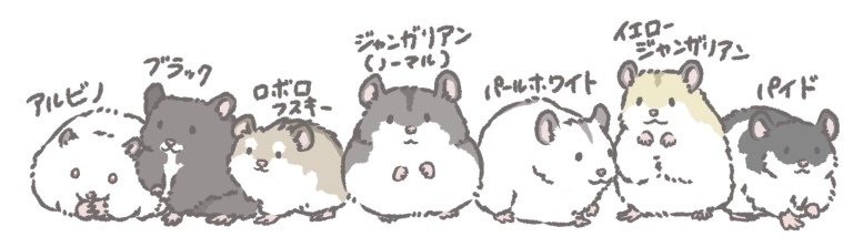 ハムスターと家族になろう｜小動物係