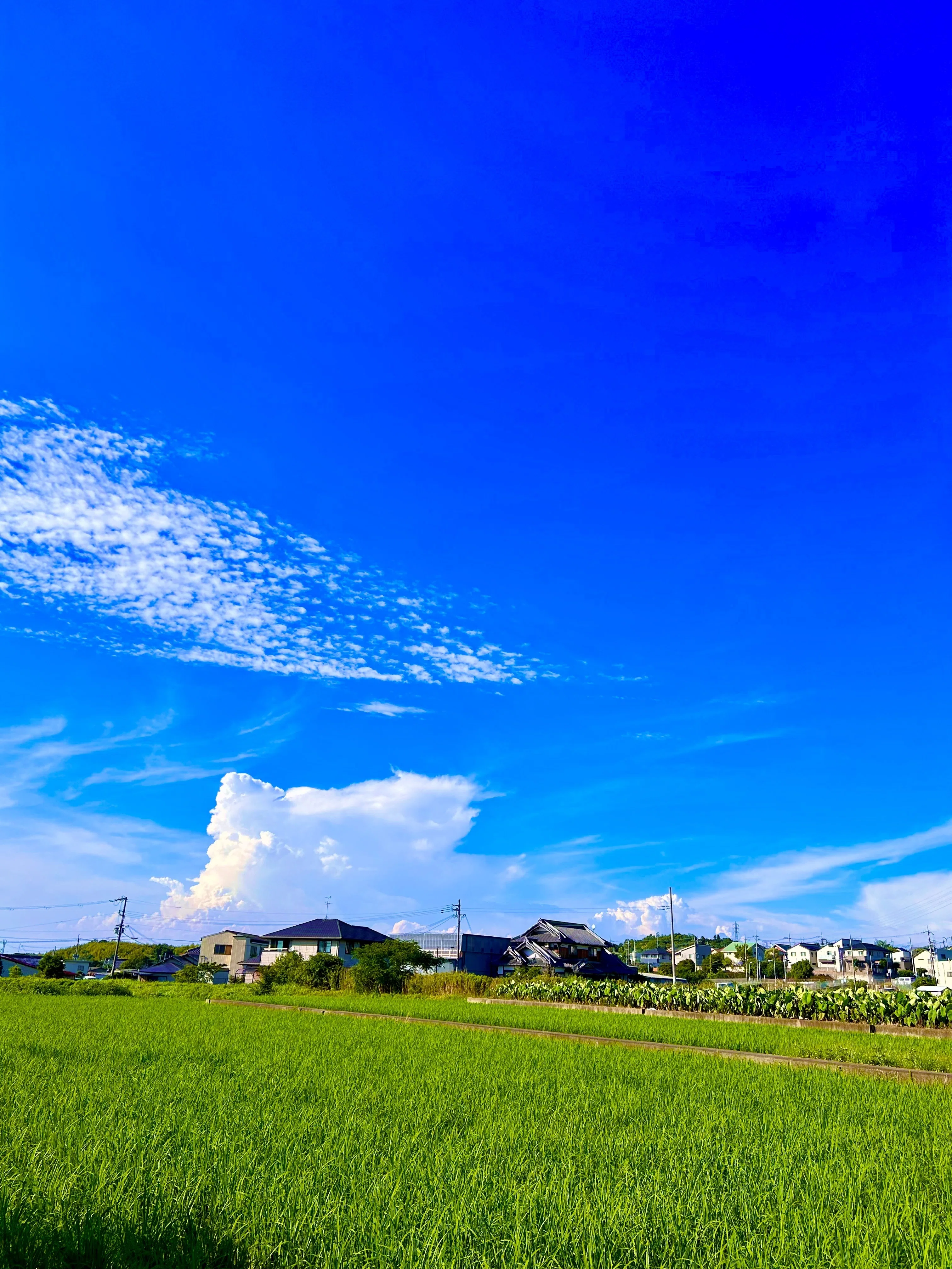 鮮やかな風景 お気に入りの風景写真を集めてみました｜tumugi