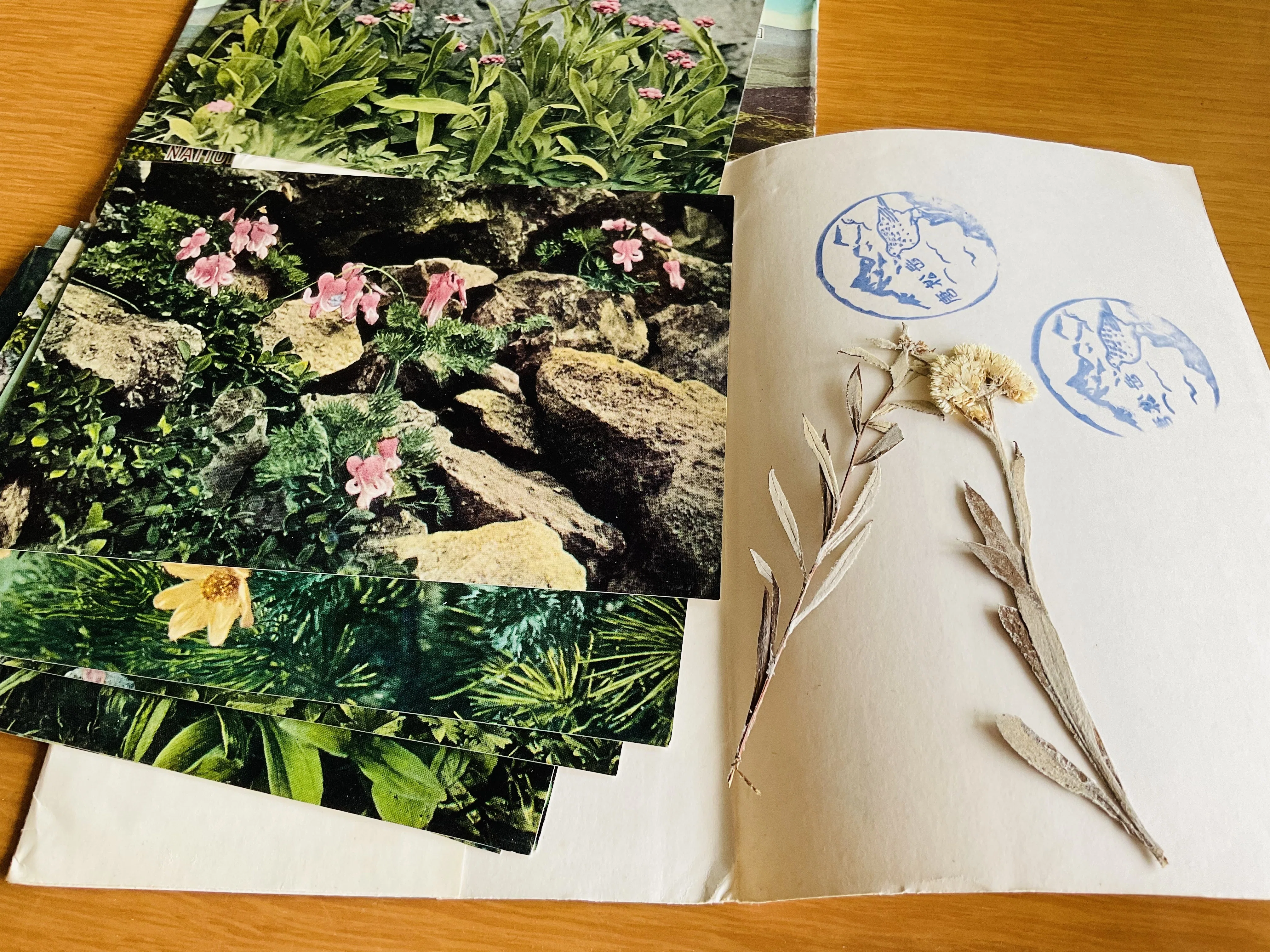 昭和の絵葉書がグッとくる。｜響喜 万葉