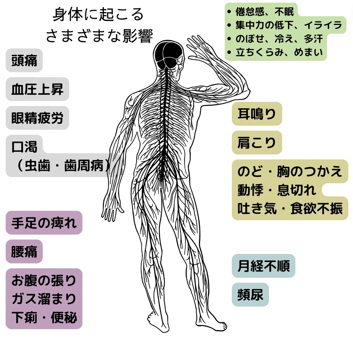 交感神経優位とは?デスクワークの方必見!症状から改善方法まで|Natsuko