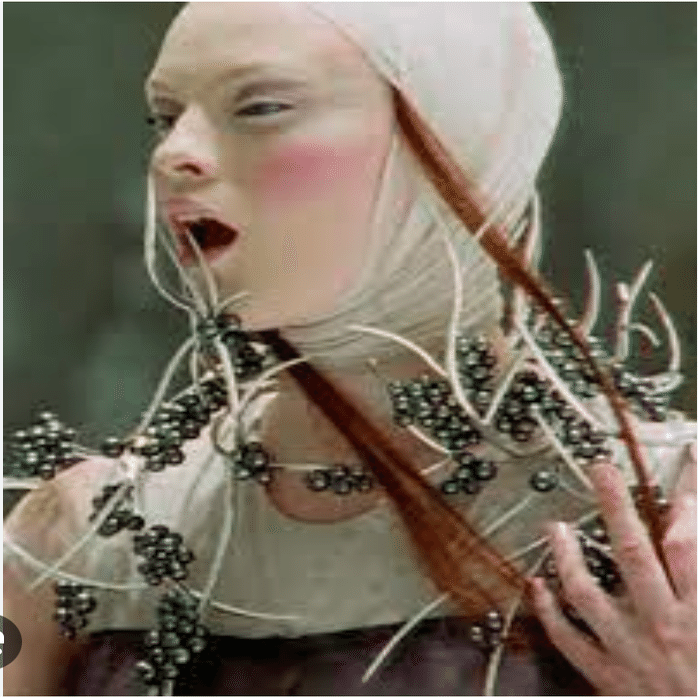 それは狂気か，芸術か〜アレキサンダーマックイーン2001年SS