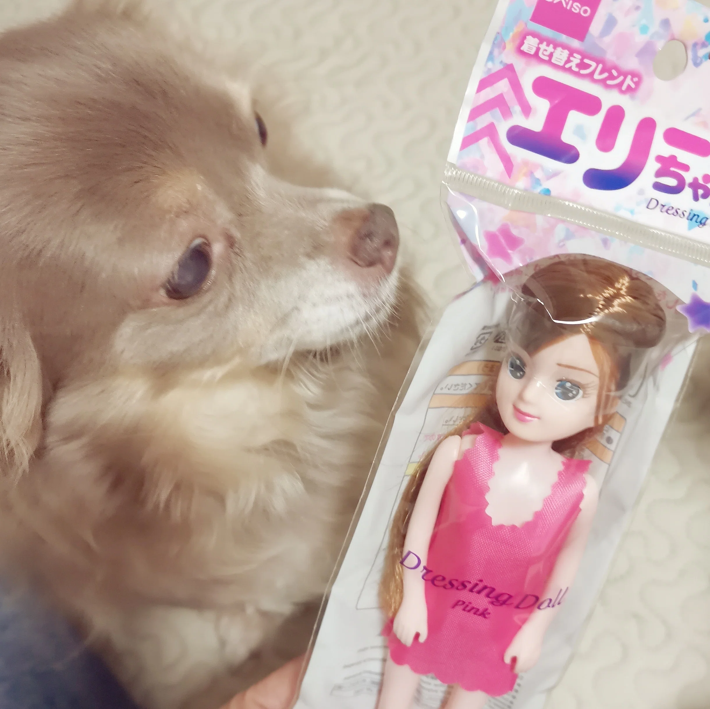 DAISOエリーちゃん美人化｜ぬいめいど👗