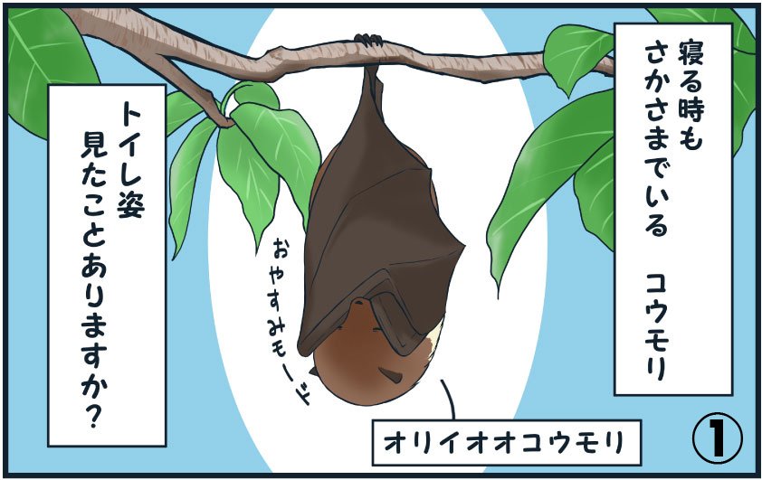 コウモリくらやみをいく: めずらしい小動物の生活 (生きものばんざい 7) コウモリくらやみをいく: めずらしい小動物の生活 (生きもの