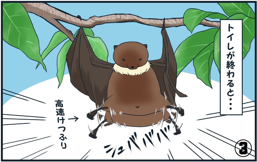 コウモリくらやみをいく: めずらしい小動物の生活 (生きものばんざい 7) コウモリくらやみをいく: めずらしい小動物の生活 (生きもの