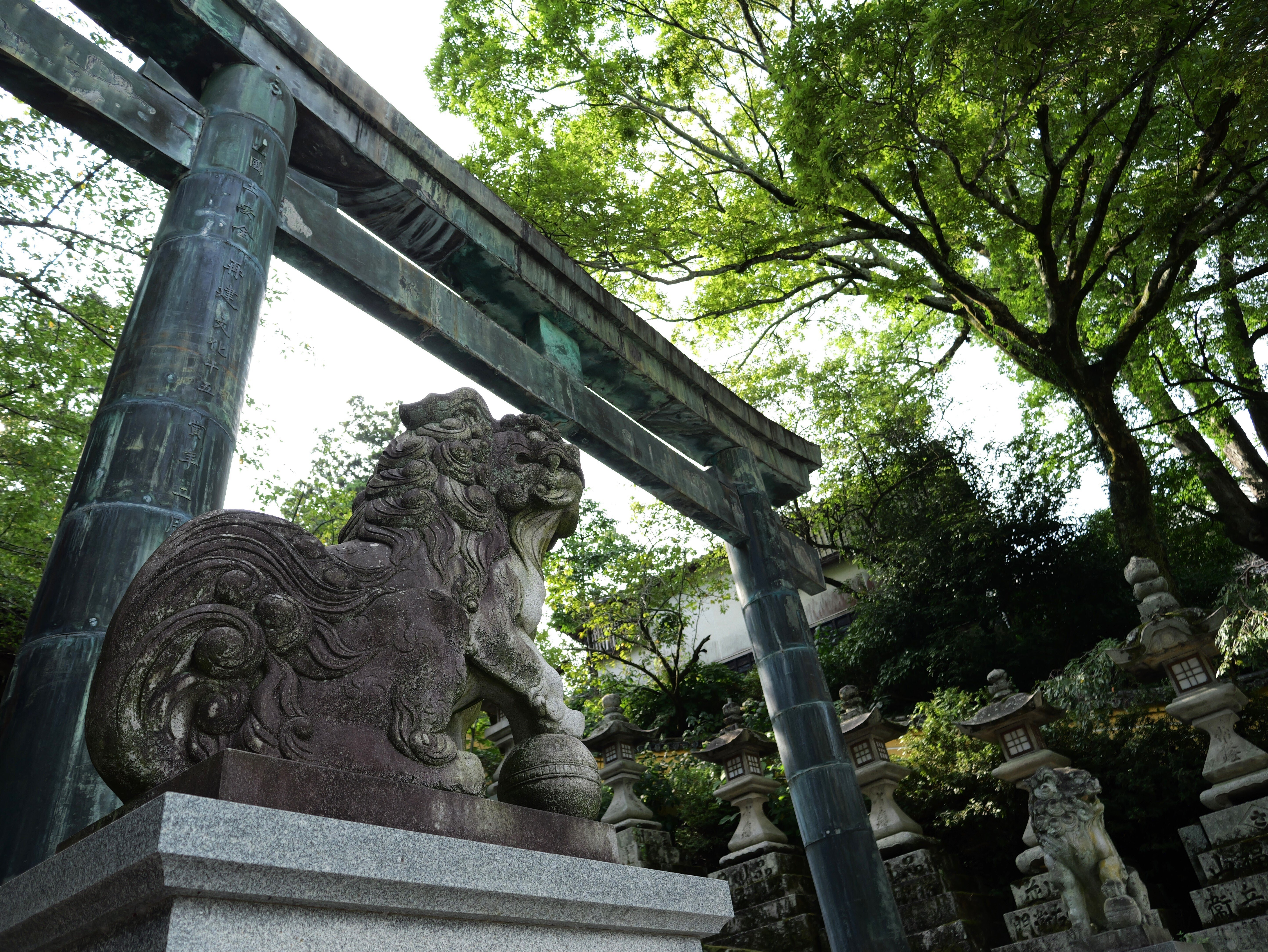 ライカ　12点 LEICA DG VARIO-ELMARIT 12-60mm / F2.8-4.0 ASPH. / POWER