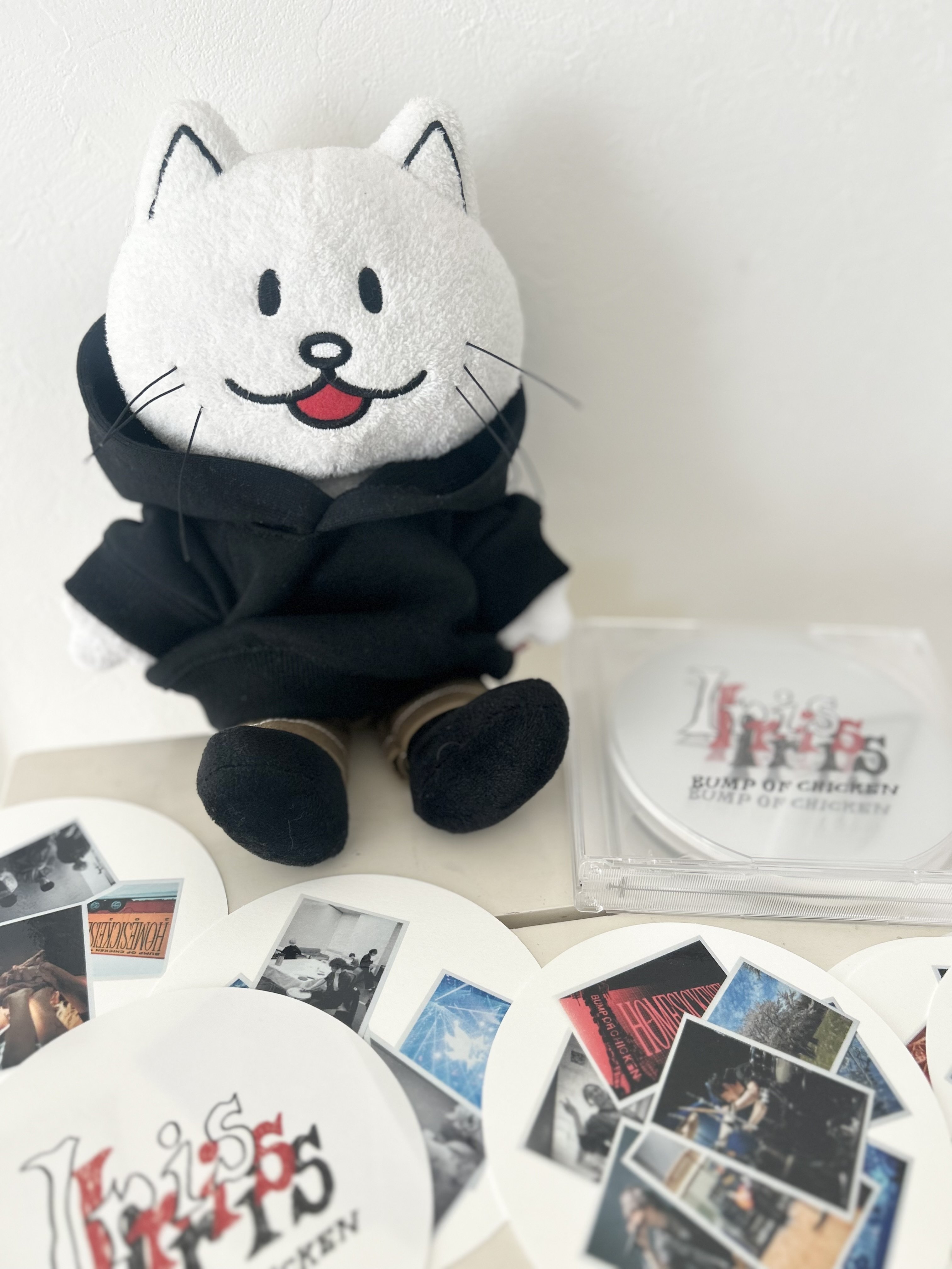 comings SONGBIRDS 7inch 歌詞カード付き Iris】BUMP OF CHICKEN｜nao/うさぎ好きなイラスト作家