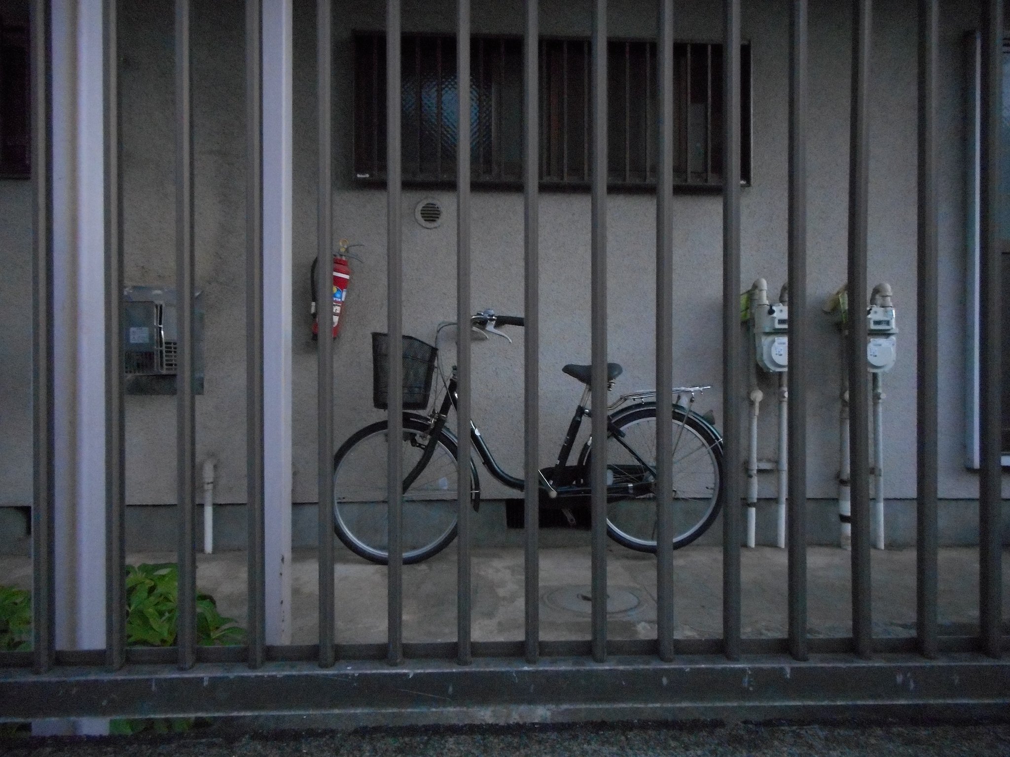 【美品✨】Nikon COOLPIX S3600 コンデジ CCD 作例有 はまりつつある、オールドコンデジ｜飯田有抄