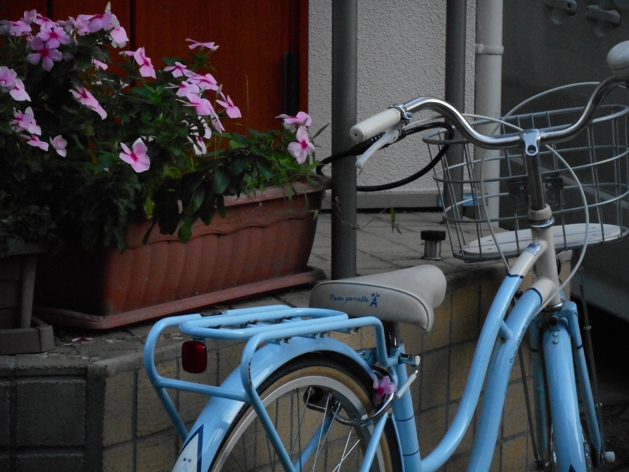 オールドコンデジ COOLPIX S3600をお迎えして思ったこと。｜飯田有抄