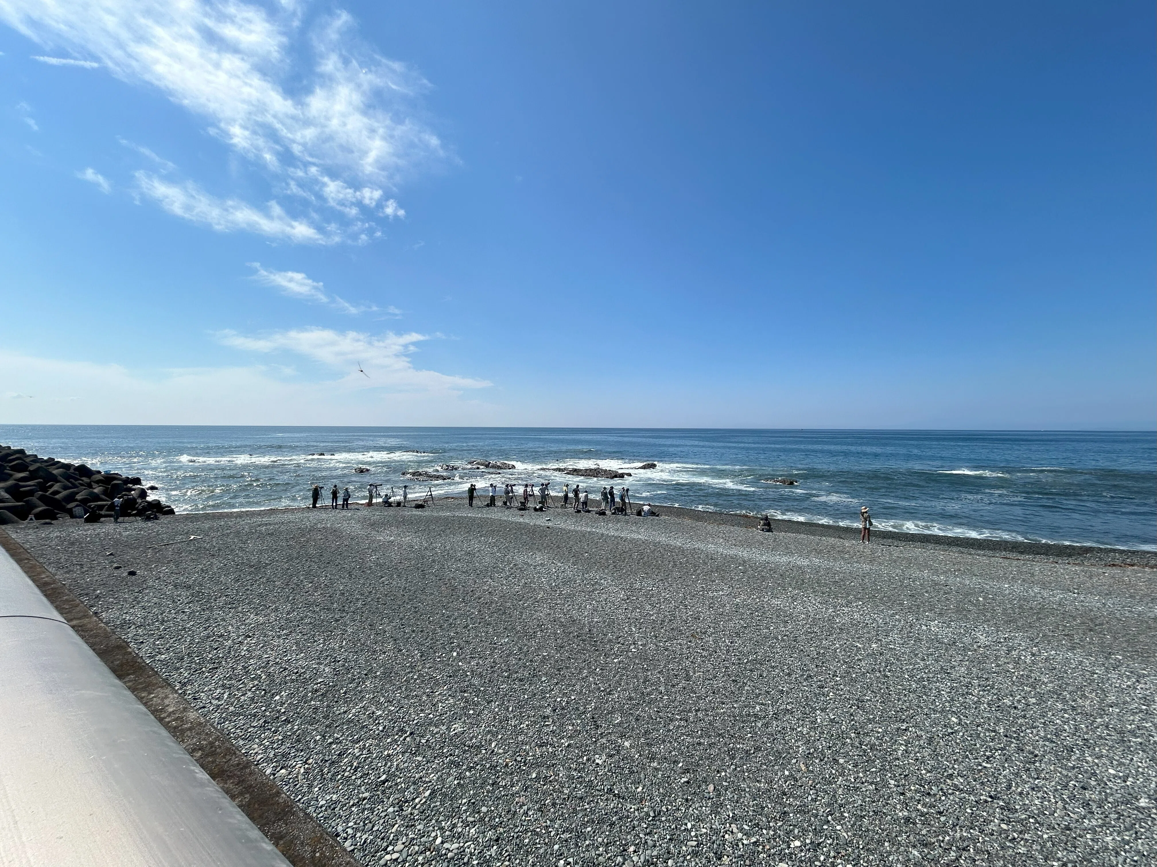 野鳥観察・探鳥地 神奈川県中郡大磯町 照ヶ崎海岸｜江戸川鳥蔵