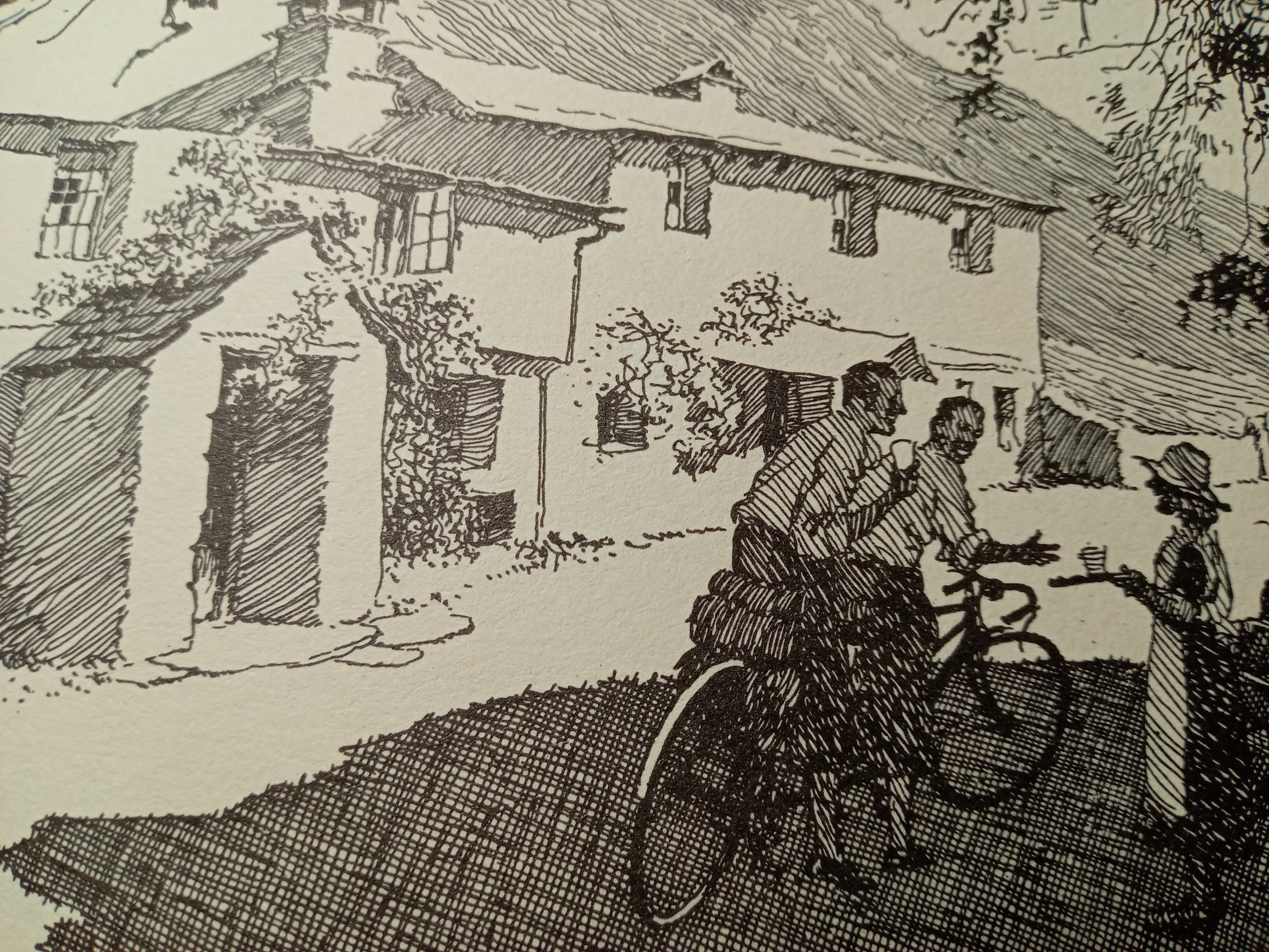 パターソンの世界｜白鳥和也／自転車文学研究室