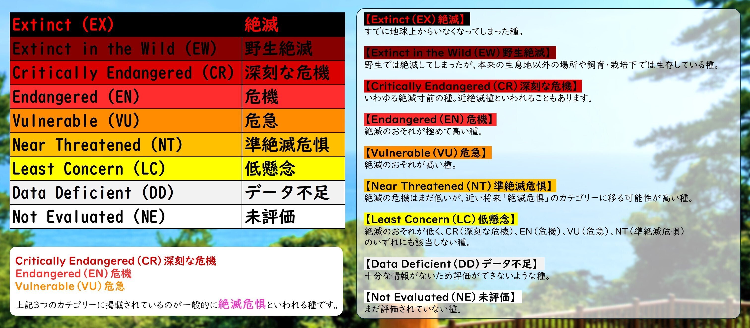 そもそも『絶滅危惧種』って？｜桂浜水族館 公式