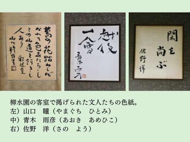 Lycee 日和山温泉の温泉小町 柳木叶夢 サイン ssp SP 柳木 叶夢(サイン入り) 販売 | ネクストン 4.0 | Lycee Overture