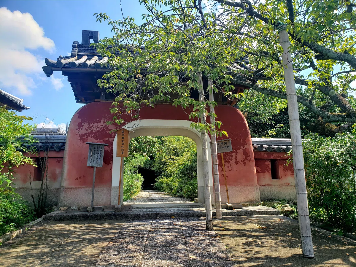 京都へ行こう 【263】|ひばりん