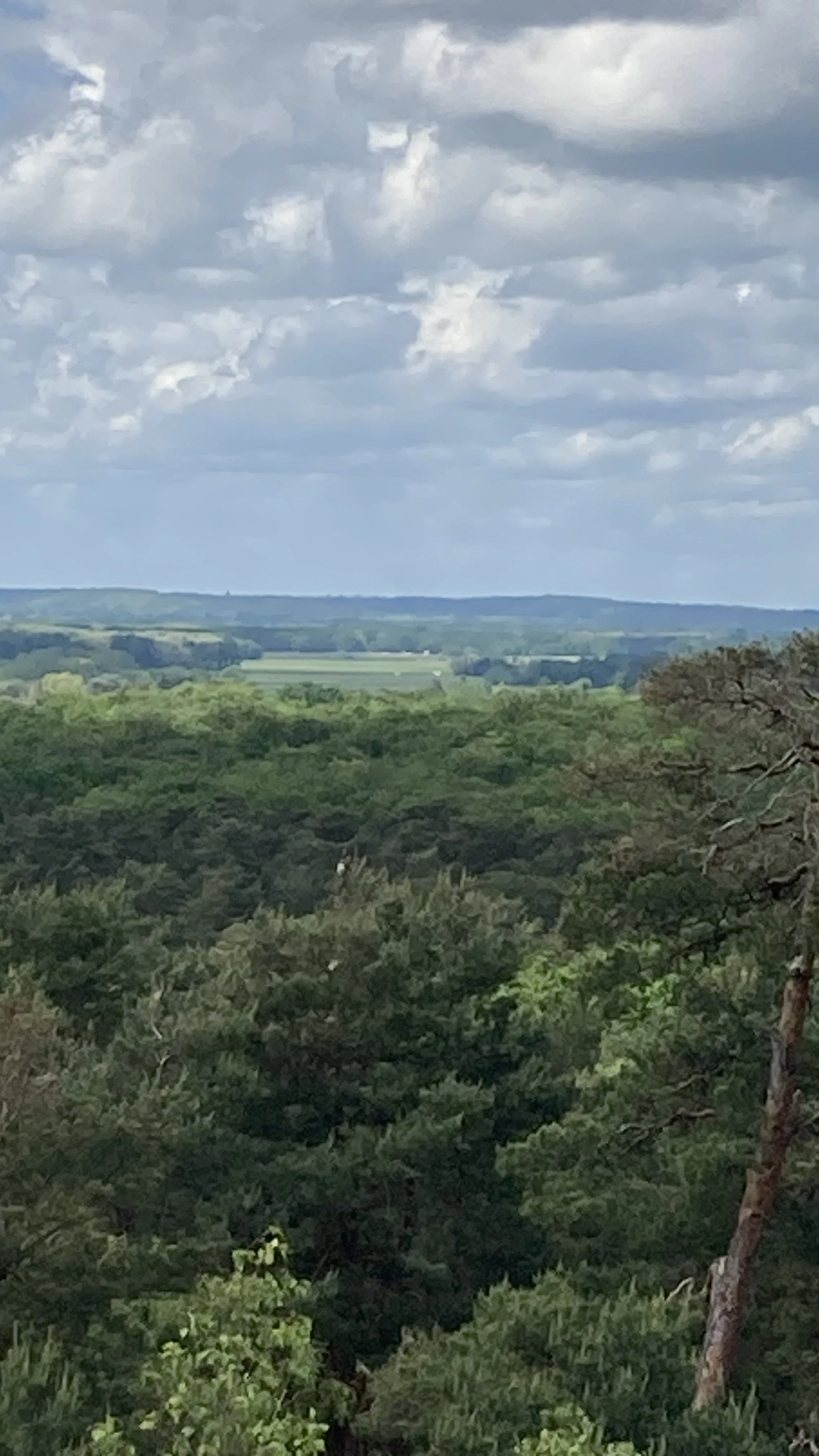 Let's Go Hiking in France 2 | Fontainebleau｜umemayonnaise