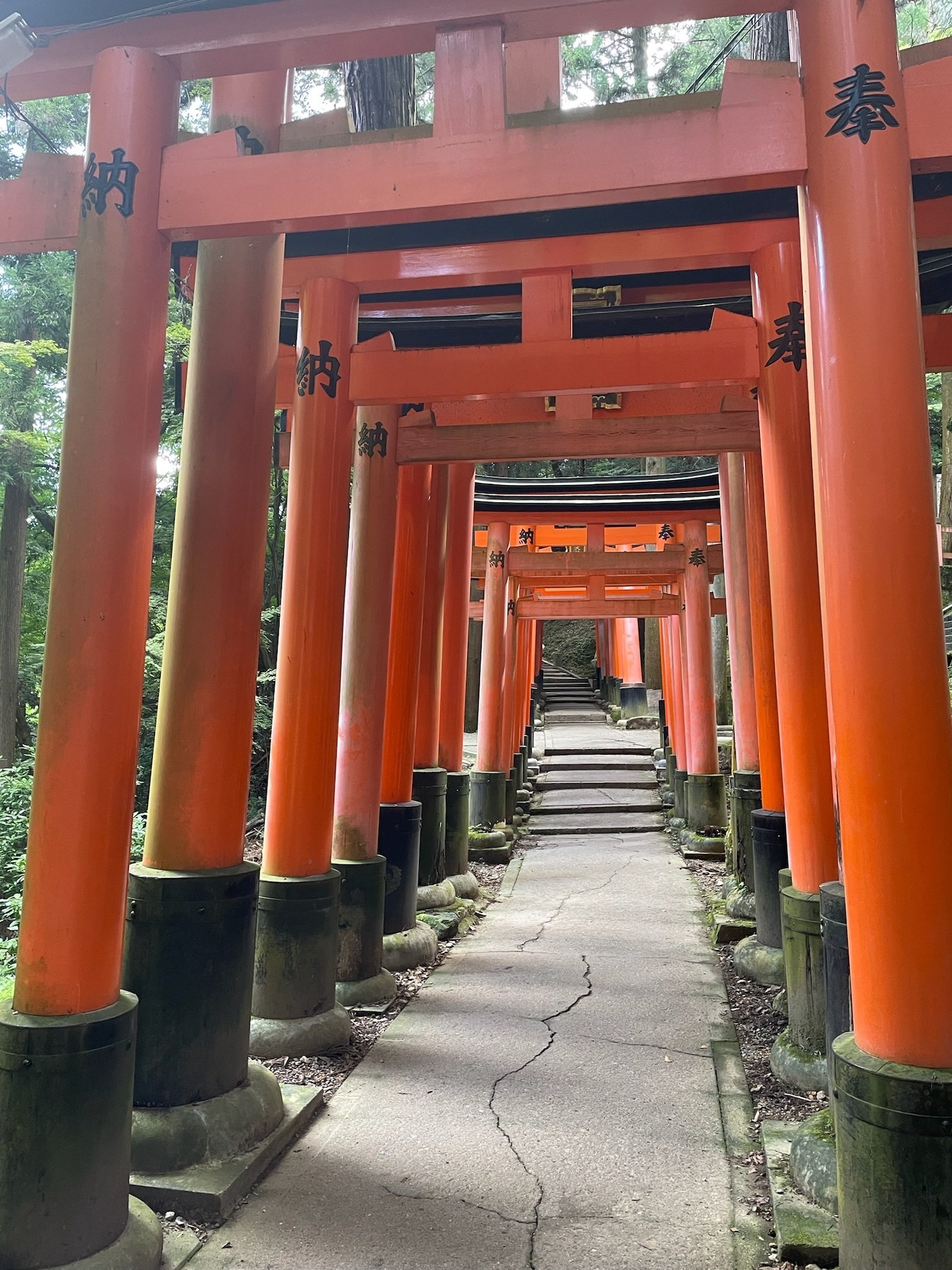 伏見稲荷はほんとにすごかった！（伏見稲荷〜天津神社へ）その2・頂上