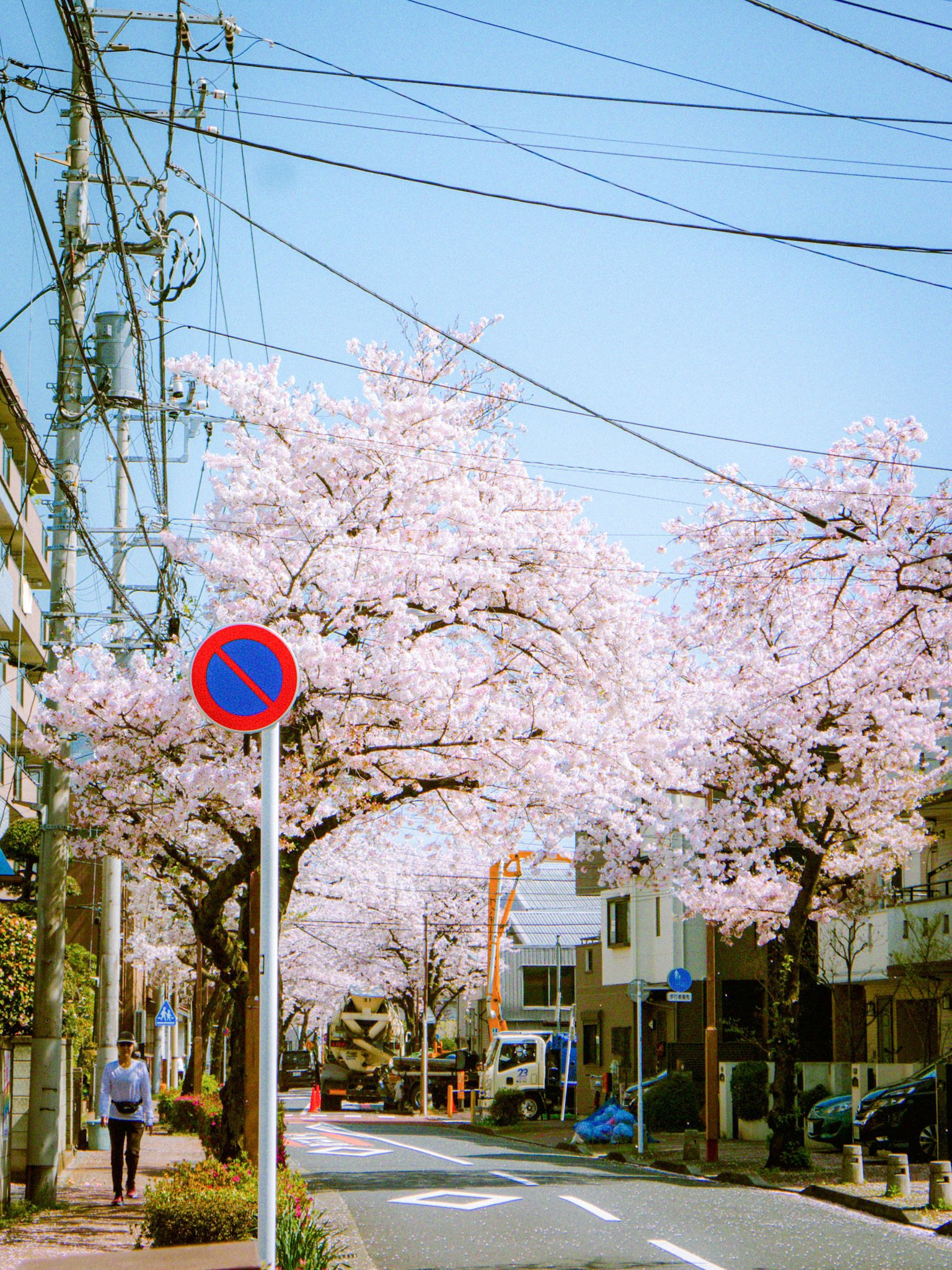 【作例あり】Panasonic LUMIX DMC-LX5 LEICA CCD LUMIX LX5 レビュー&作例 オールドコンデジで楽しむHDR写真の