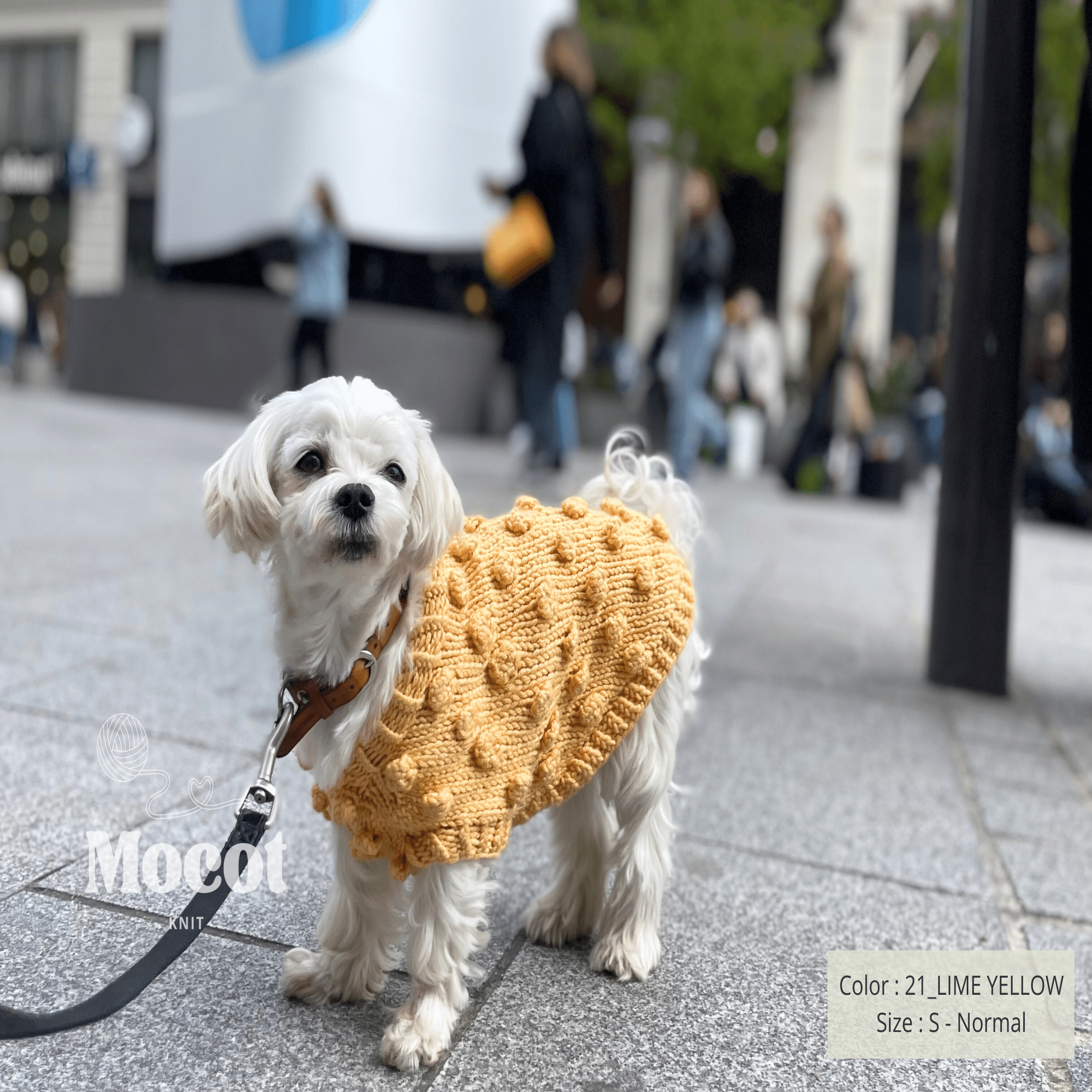 犬のためのニットブランド、