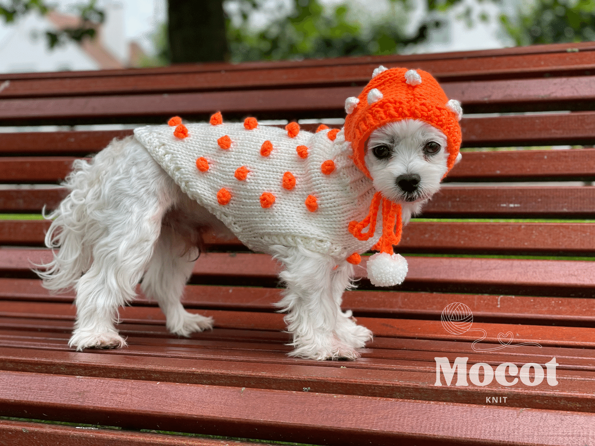 愛犬さんの羊毛フェルトオーダー・マロンチョコ様ご購入専用ページ