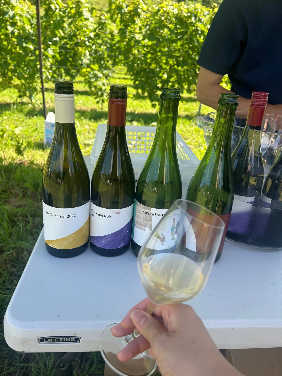 Winery Visit Report] Hokkaido Yoichi La Fête Part 1｜しゅわTokyo