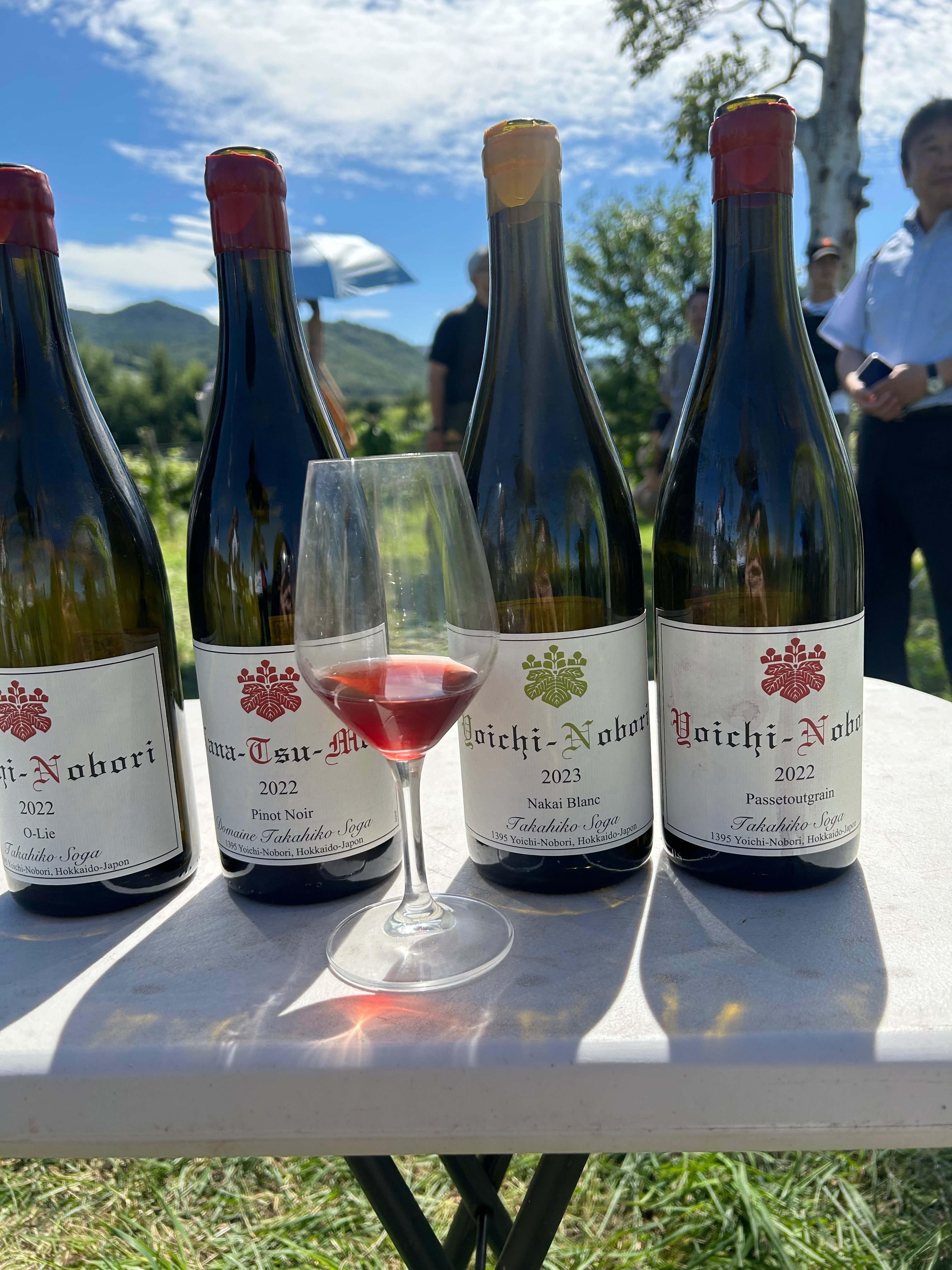 ドメーヌ タカヒコ ヨイチノボリ パストゥグラン 2020 ドメーヌ・タカヒコヨイチノボリパストゥーグラン2020年、2022年セット