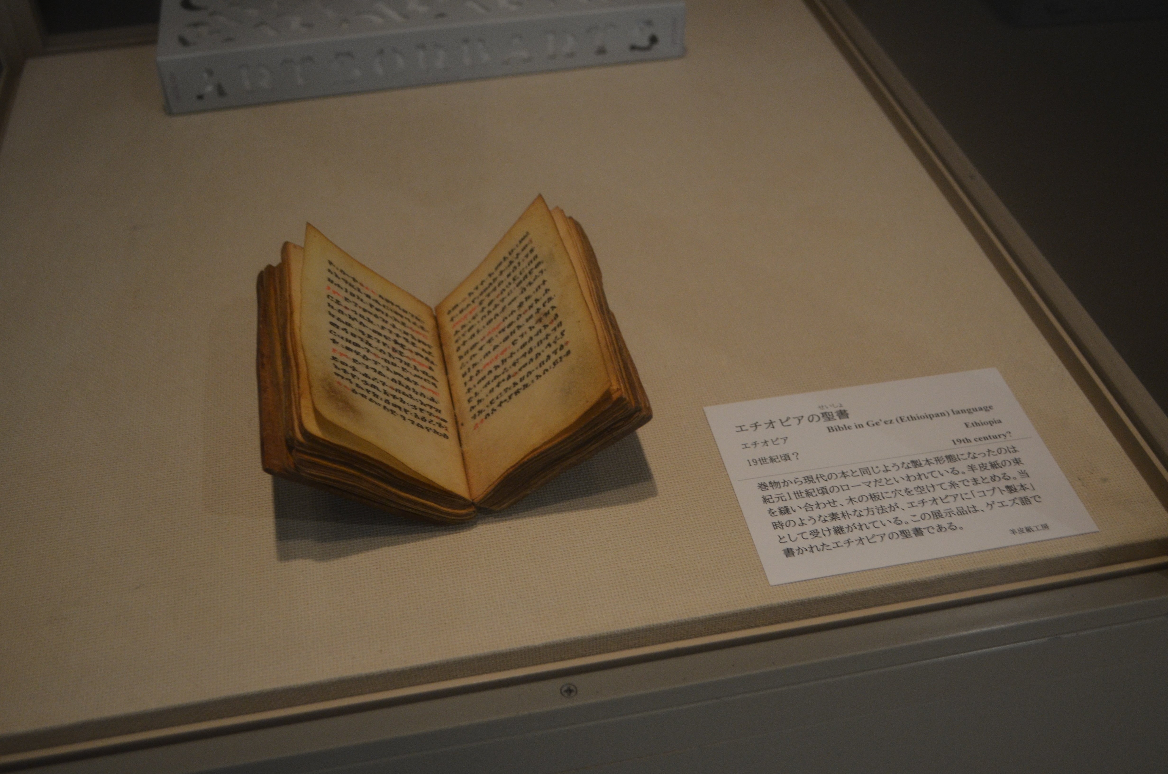 特別展「聖書の世界」｜桑原亘之介