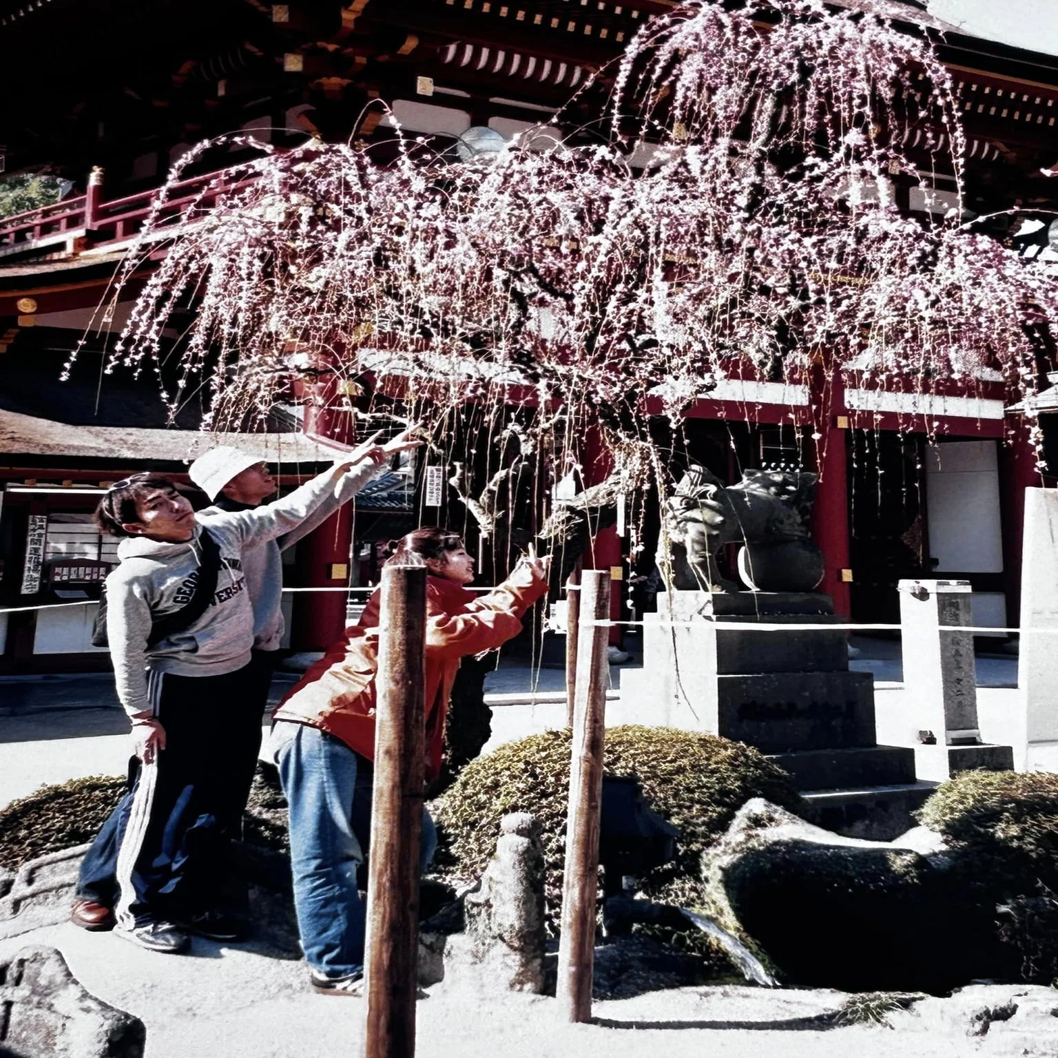 思い出に、手が止まる ～断捨離・昔の写真ってどうしてますか