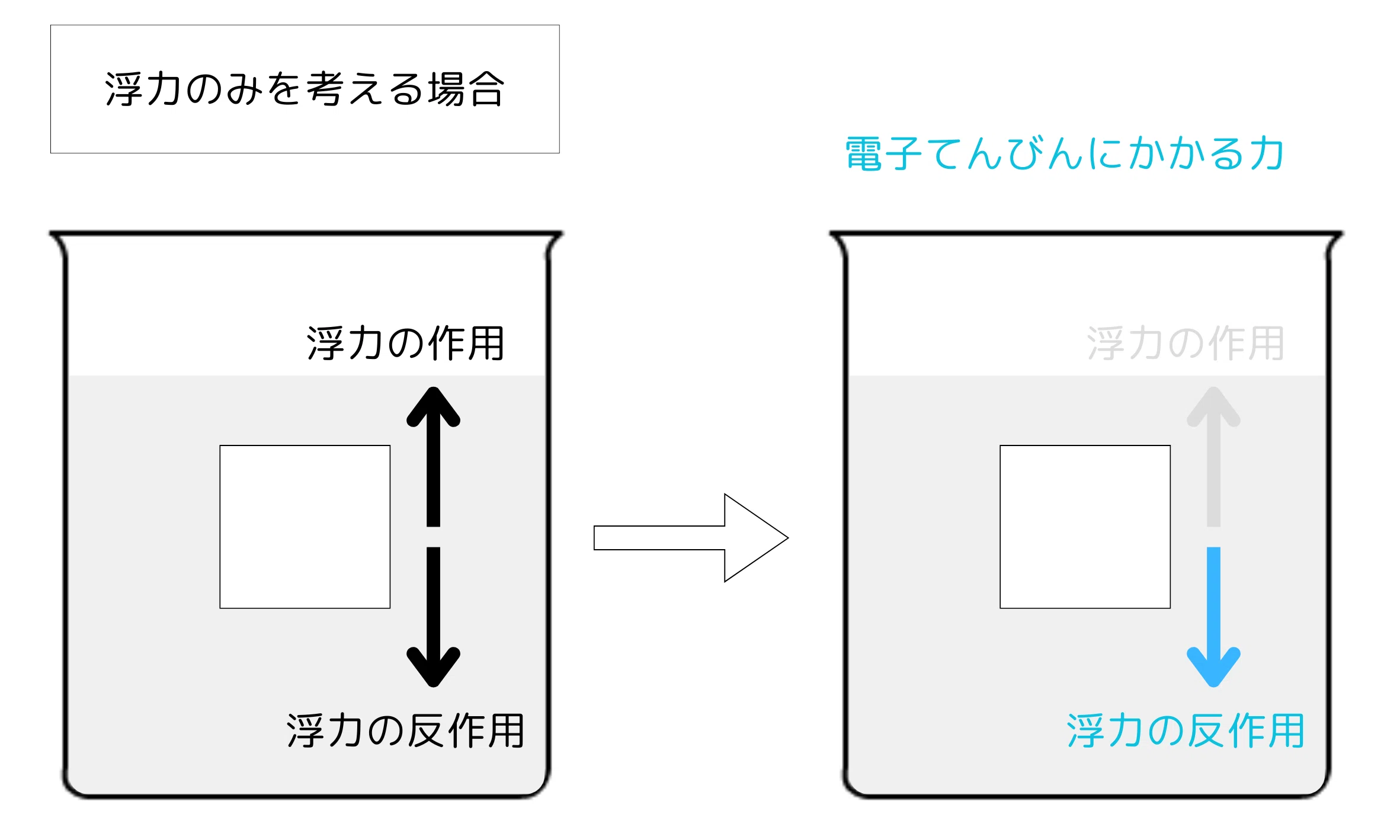 最新年度を解説！】令和6年度「都立青山高校」推薦小論文 解答と解説