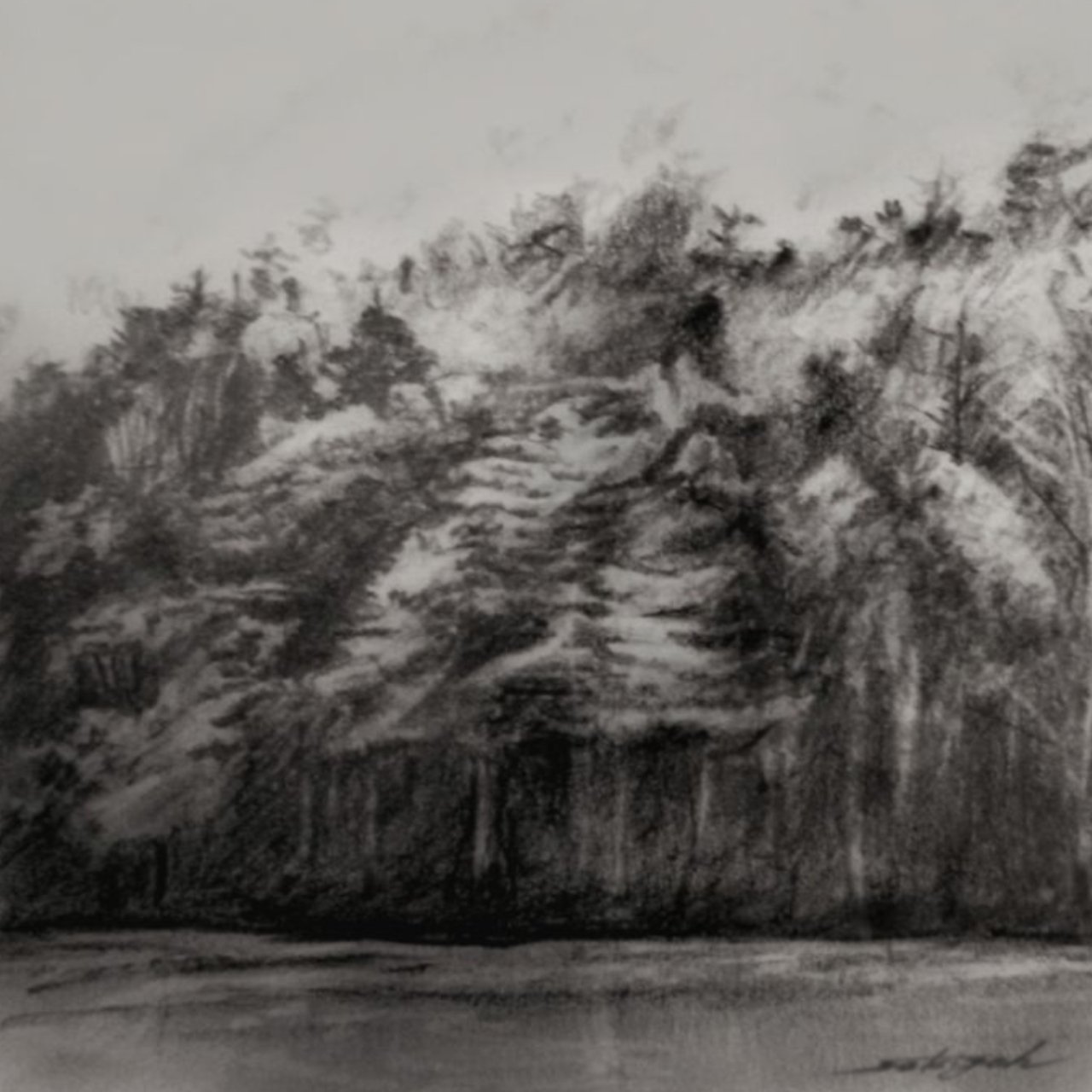 油絵＆鉛筆画 森』鉛筆画｜せきぞう、