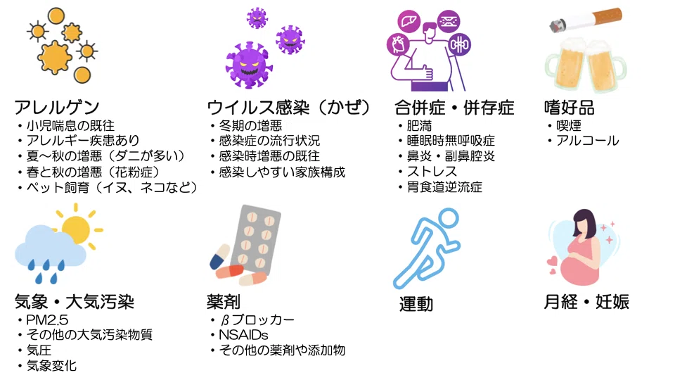 Asthma (15) Let's learn about the causes of exacerbations｜Dr.Y