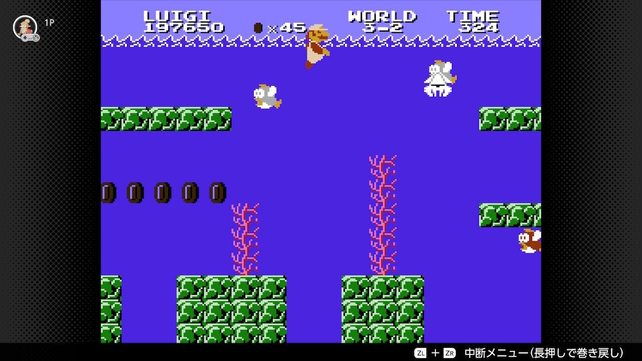 スーパーマリオブラザーズ2 全ステージRTA ルイージ World 3
