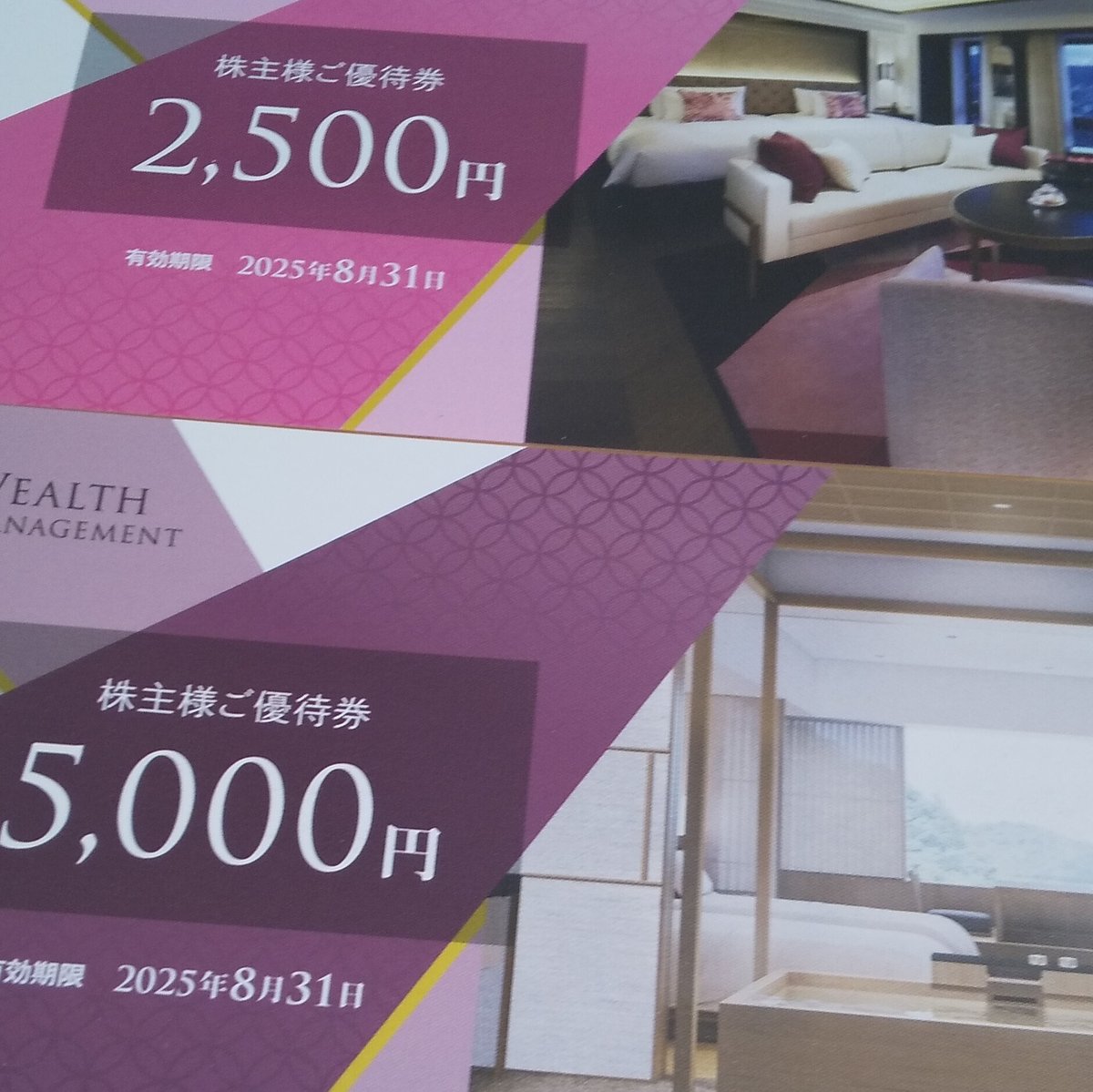 ウェルスマネジメント株主優待券 30,000円分 突き合わさ 