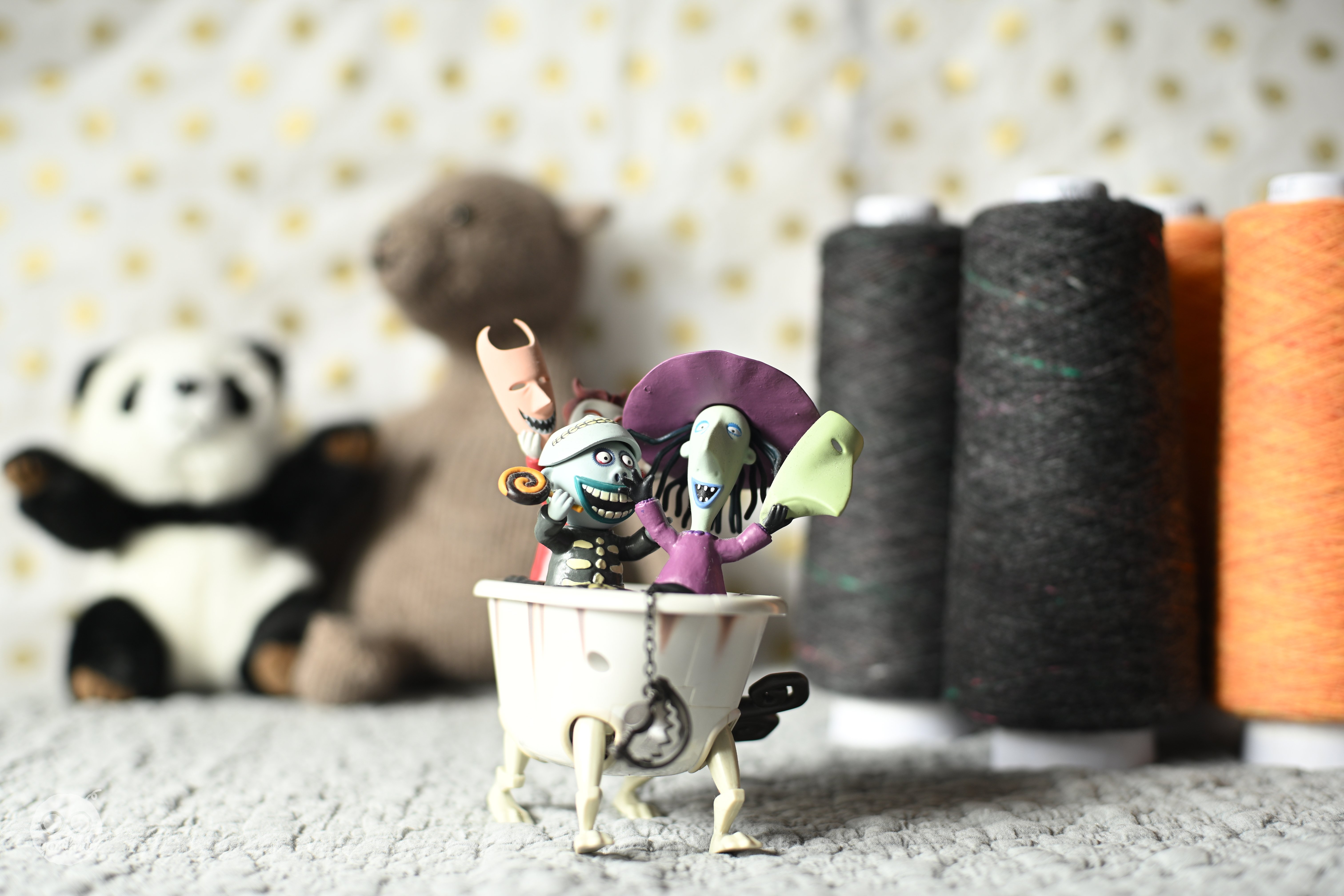 私のオールドレンズ三人衆。 ｜ Nikon Zf｜yoriknit