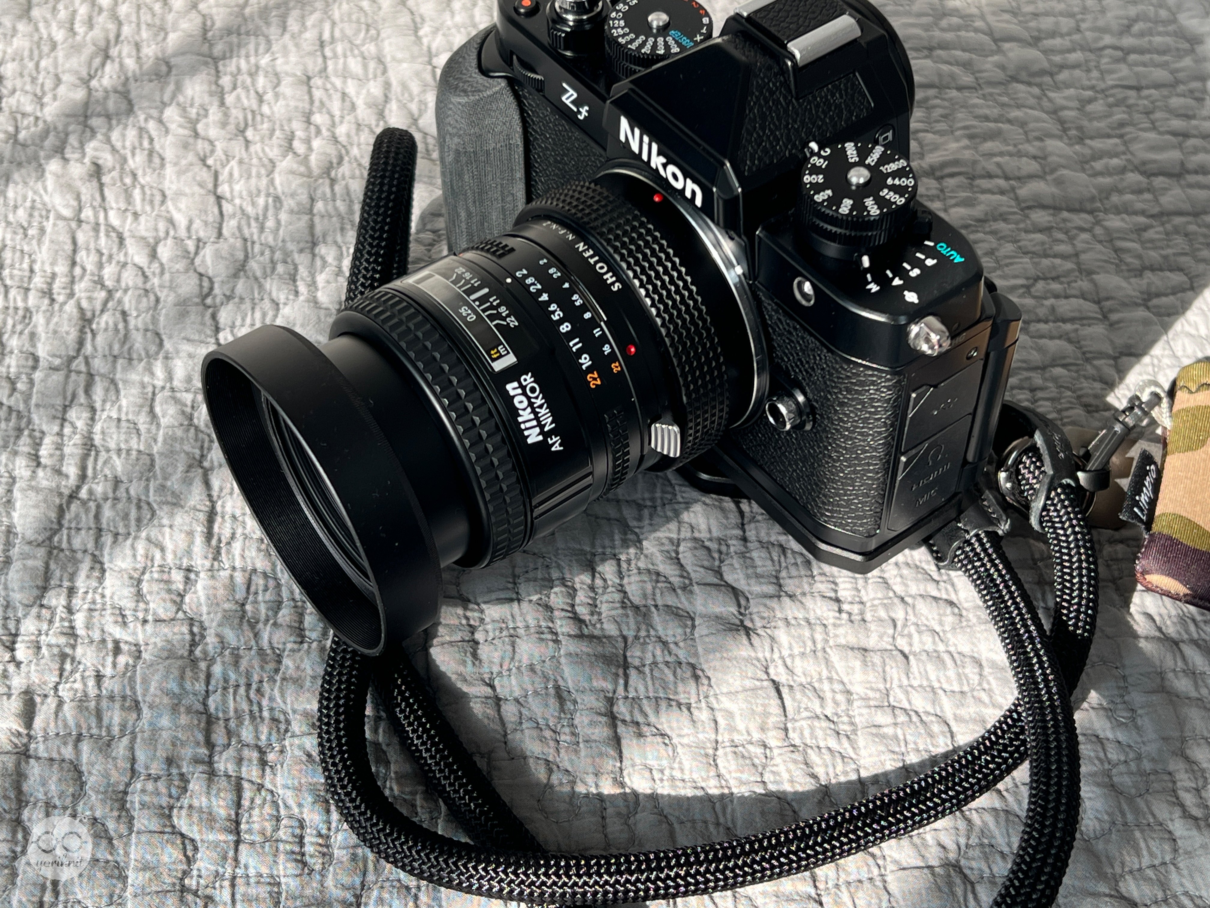 私のオールドレンズ三人衆。 | Nikon Zf|yoriknit 私のオールドレンズ三人衆。 | Nikon Zf|yoriknit