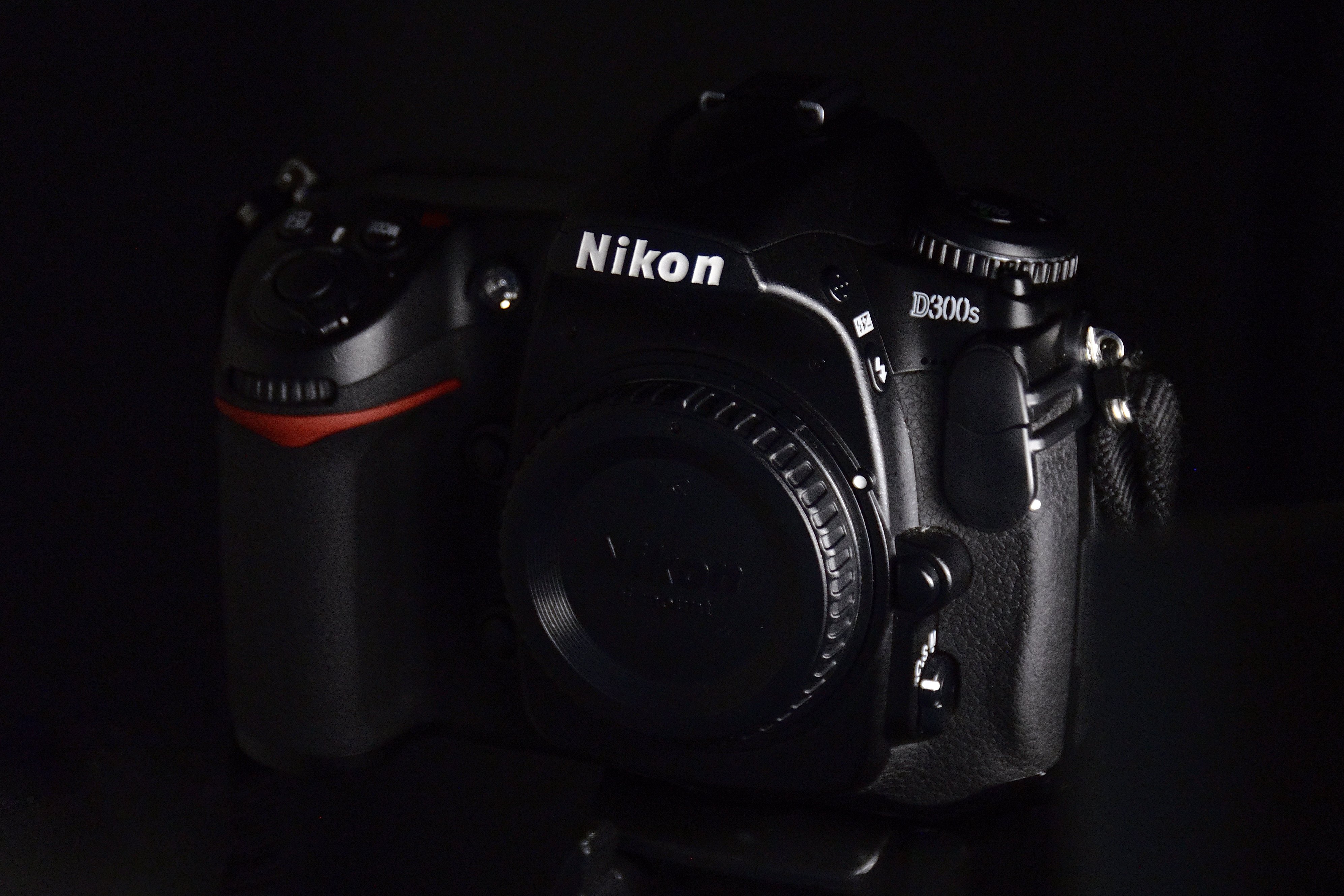 今でも変わらぬ旗艦機【Nikon D300s】|硝子窓 今でも変わらぬ旗艦機【Nikon D300s】|硝子窓