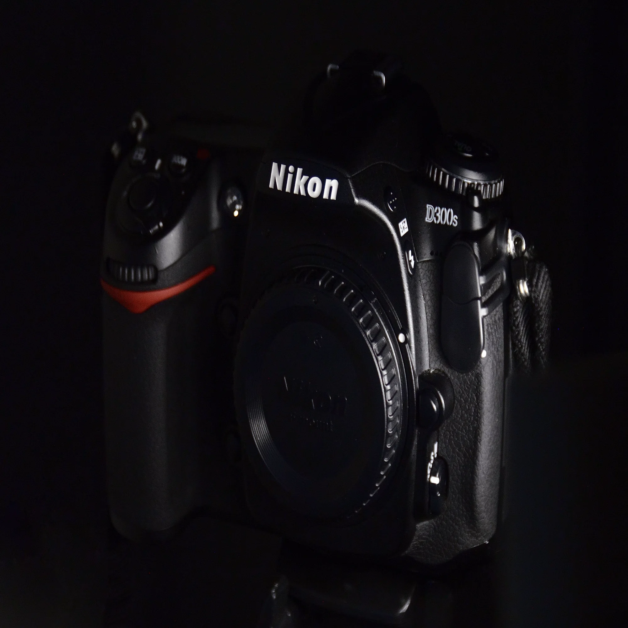 Nikon D300S｜硝子窓