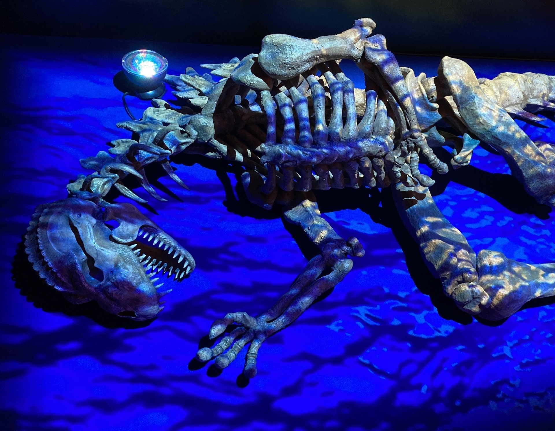 キャスト　ゴジラ-1.0 洋上のゴジラ　特撮のDNA 株式会社キャスト ゴジラ-1.0 洋上のゴジラ 特撮のDNA - メルカリ