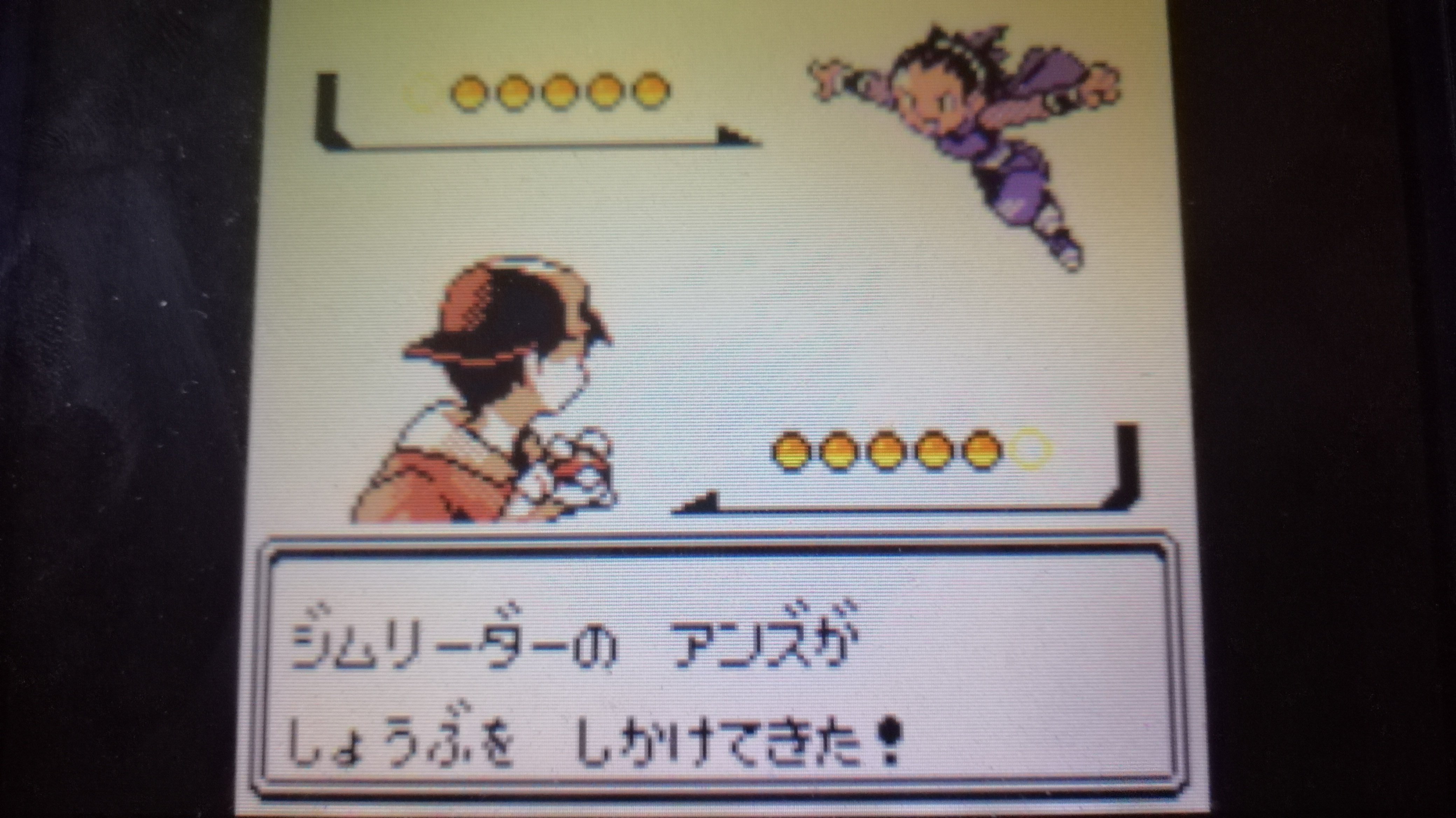 ポケモン全国行脚の旅日記 クリスタル版＃13｜瀧