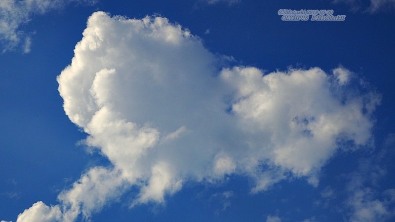 ハート型の雲が浮かんでいた、とある夏の空。