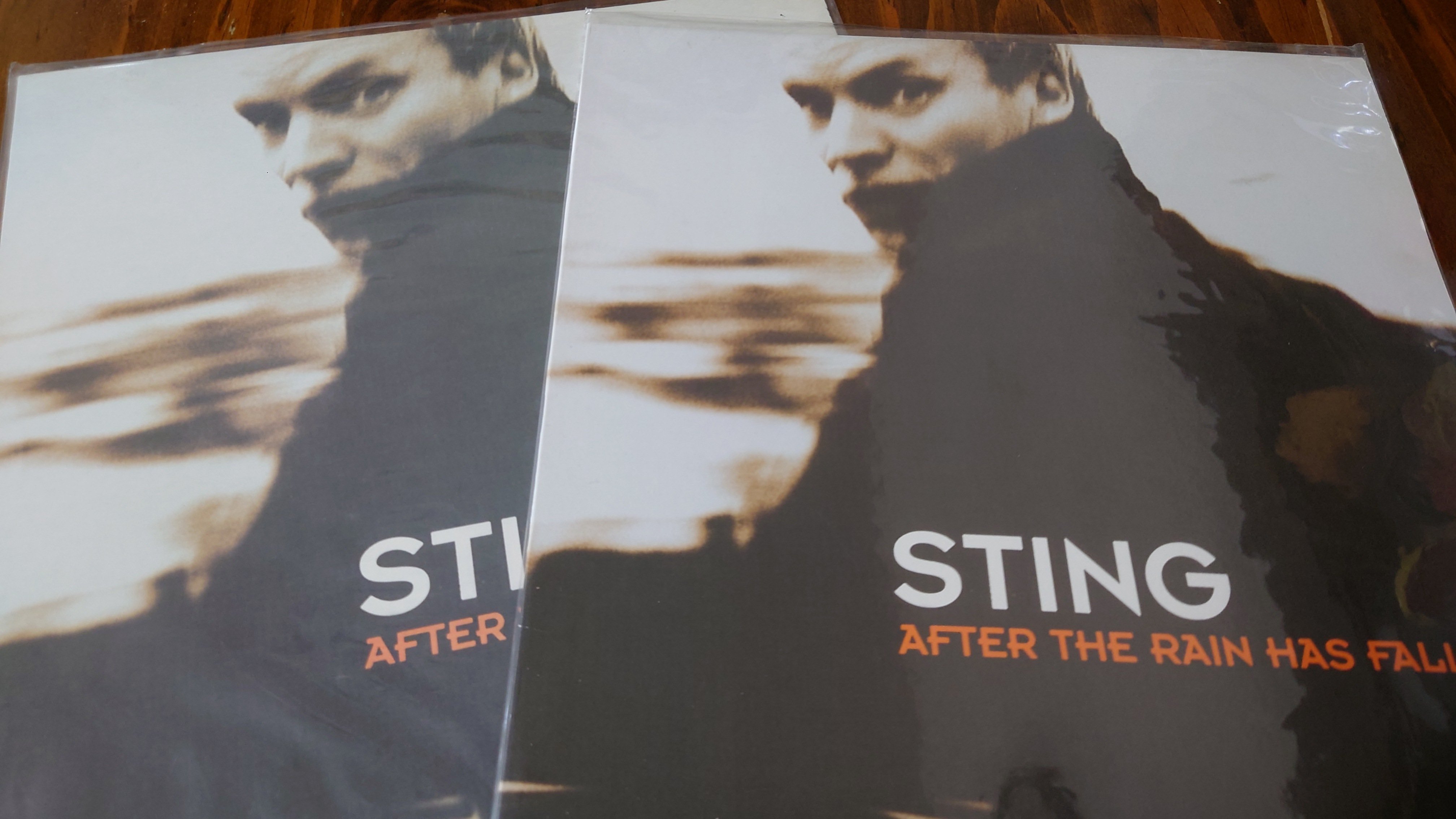 働き者の歌(7インチ)/the Tiger/RECORD STORE DAY 2024.4.20