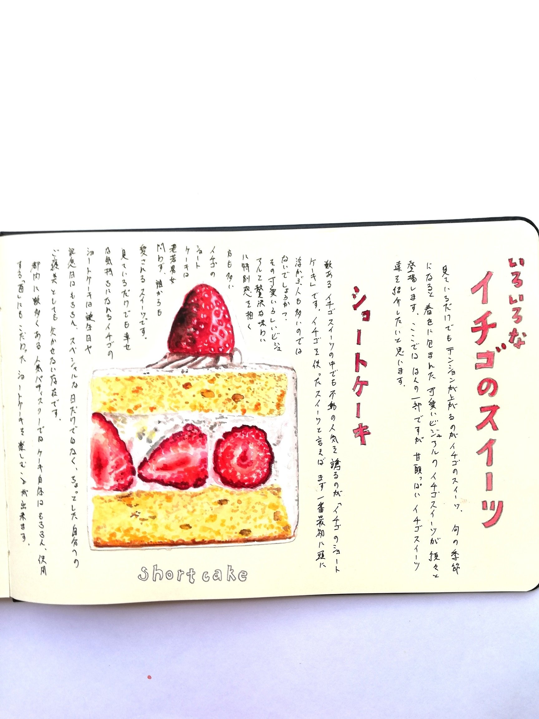 水彩イラストの描き方講を開講しました｜きのっこ@手書きフェチ