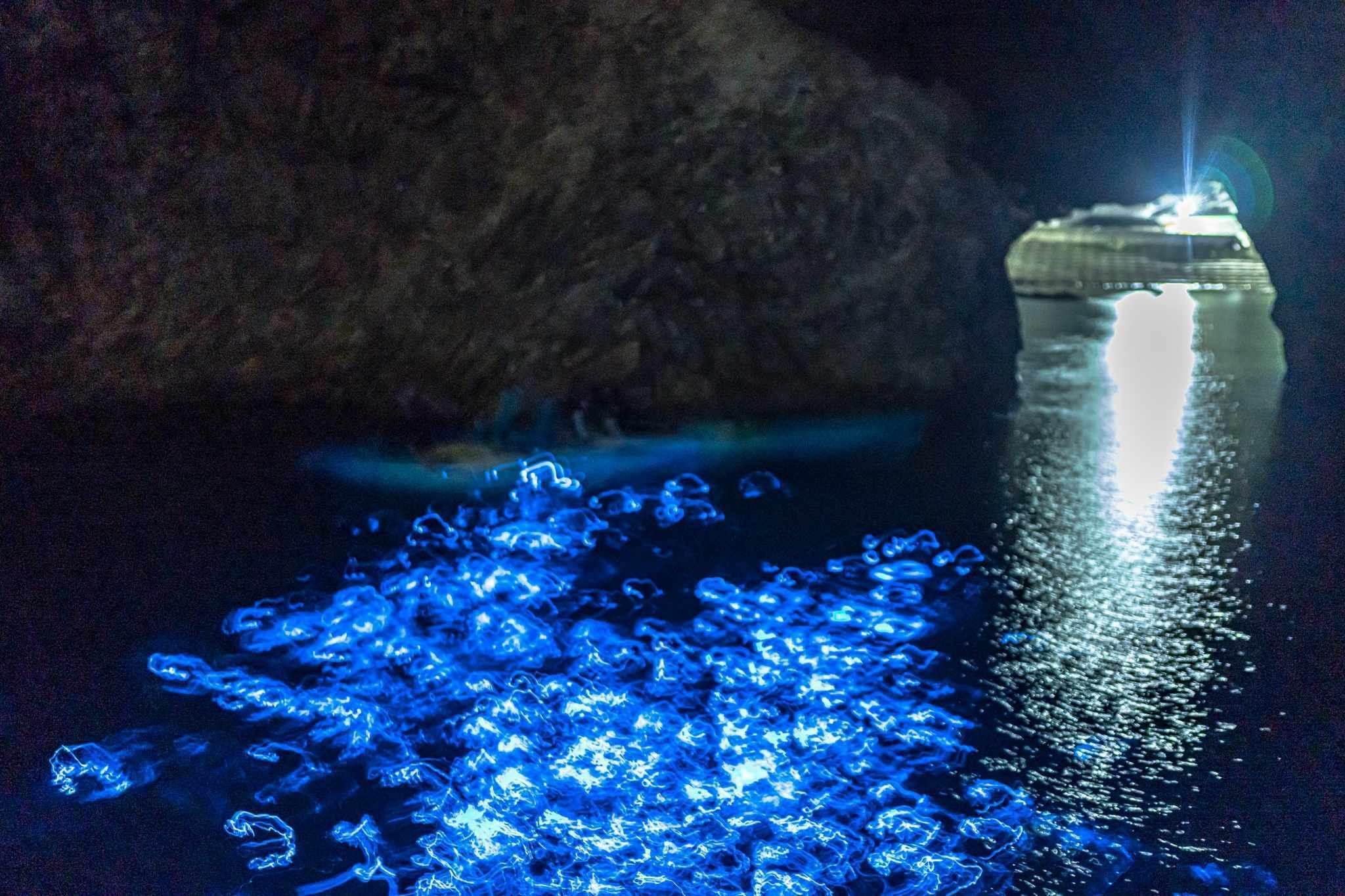 新月の夜の達者カヤック🌑海ほたるコラボレーション｜Chiaki Kamuki