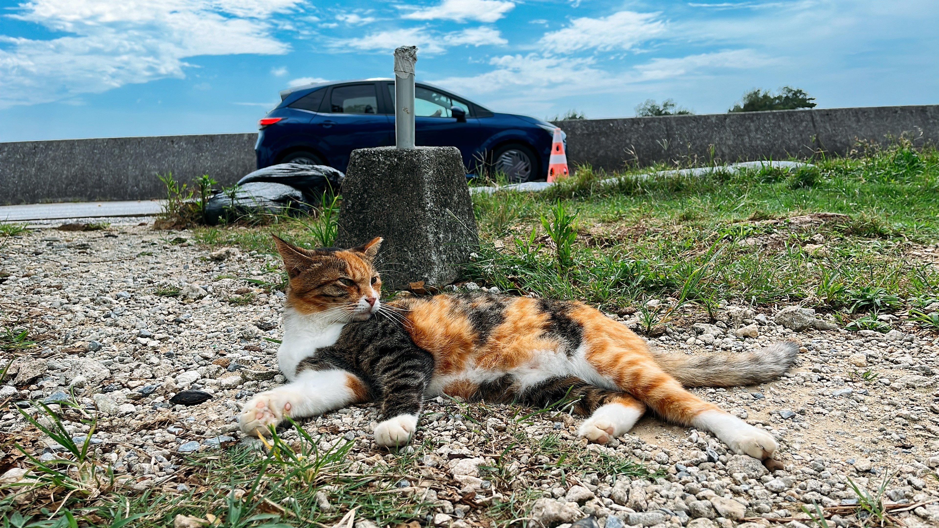 沖縄の猫島を巡ってきました。｜Shoichi Hasegawa