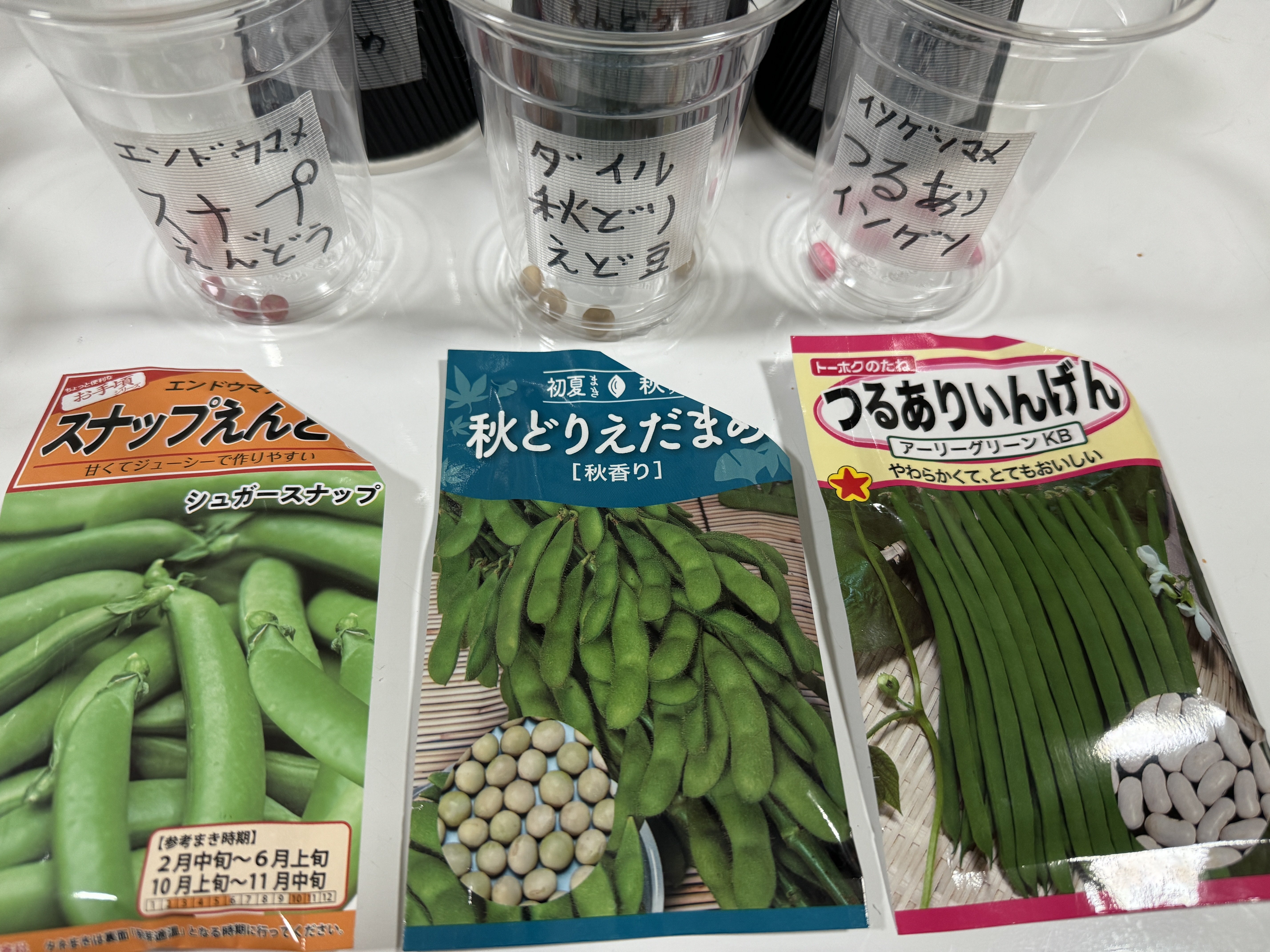 SAPIXの夏期講習 (小学3年生)|そよみんの中学受験 SAPIXの夏期講習 (小学3年生)|そよみんの中学受験