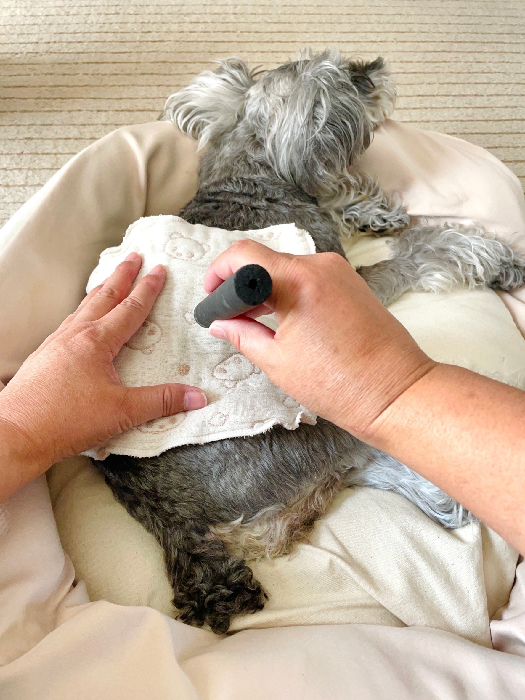 木製 温灸セット｜リラクゼーション用｜犬の温活に｜使用1回 愛犬にも温活！：温灸を取り入れたワンズライフ - ペット温灸＆整体