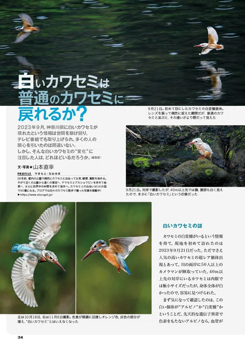 BIRDER10月号の見どころ｜ブンイチ（文一総合出版）